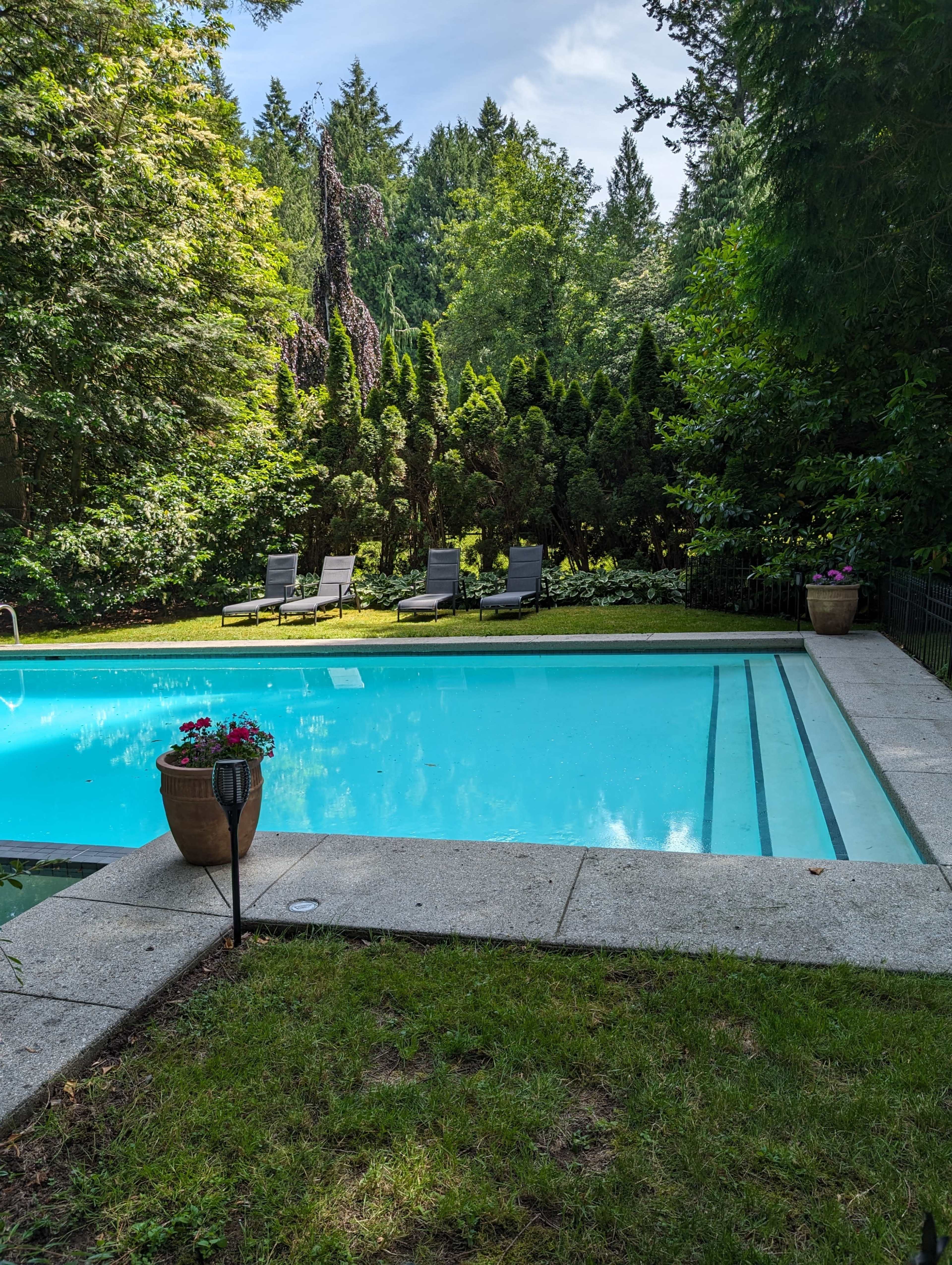 A turquoise swimming pool surrounded by green trees and lounge chairs in a residential backyard.