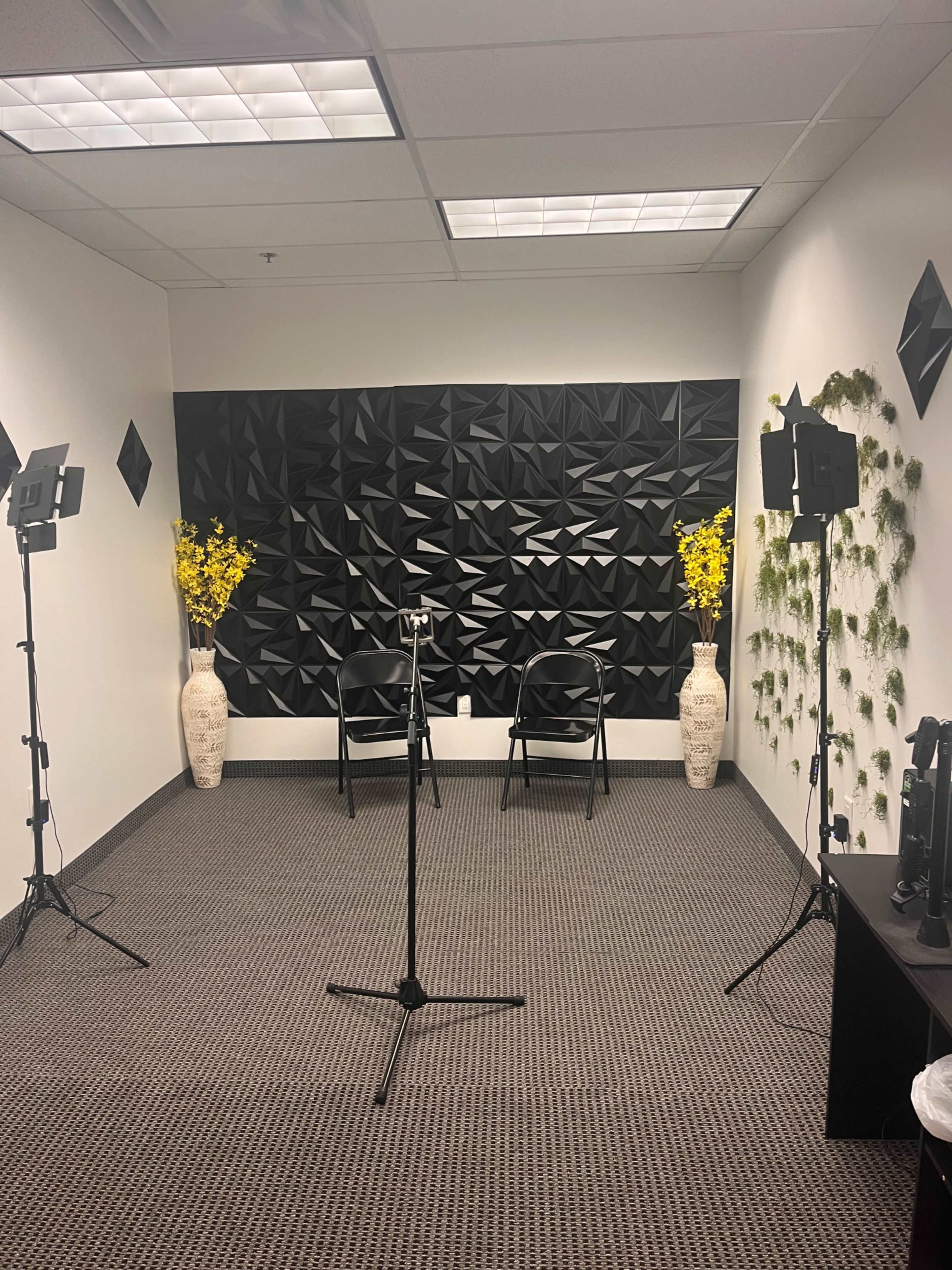 The image shows a small studio space with two chairs facing a black textured wall, flanked by potted yellow flowers and studio lights on stands.