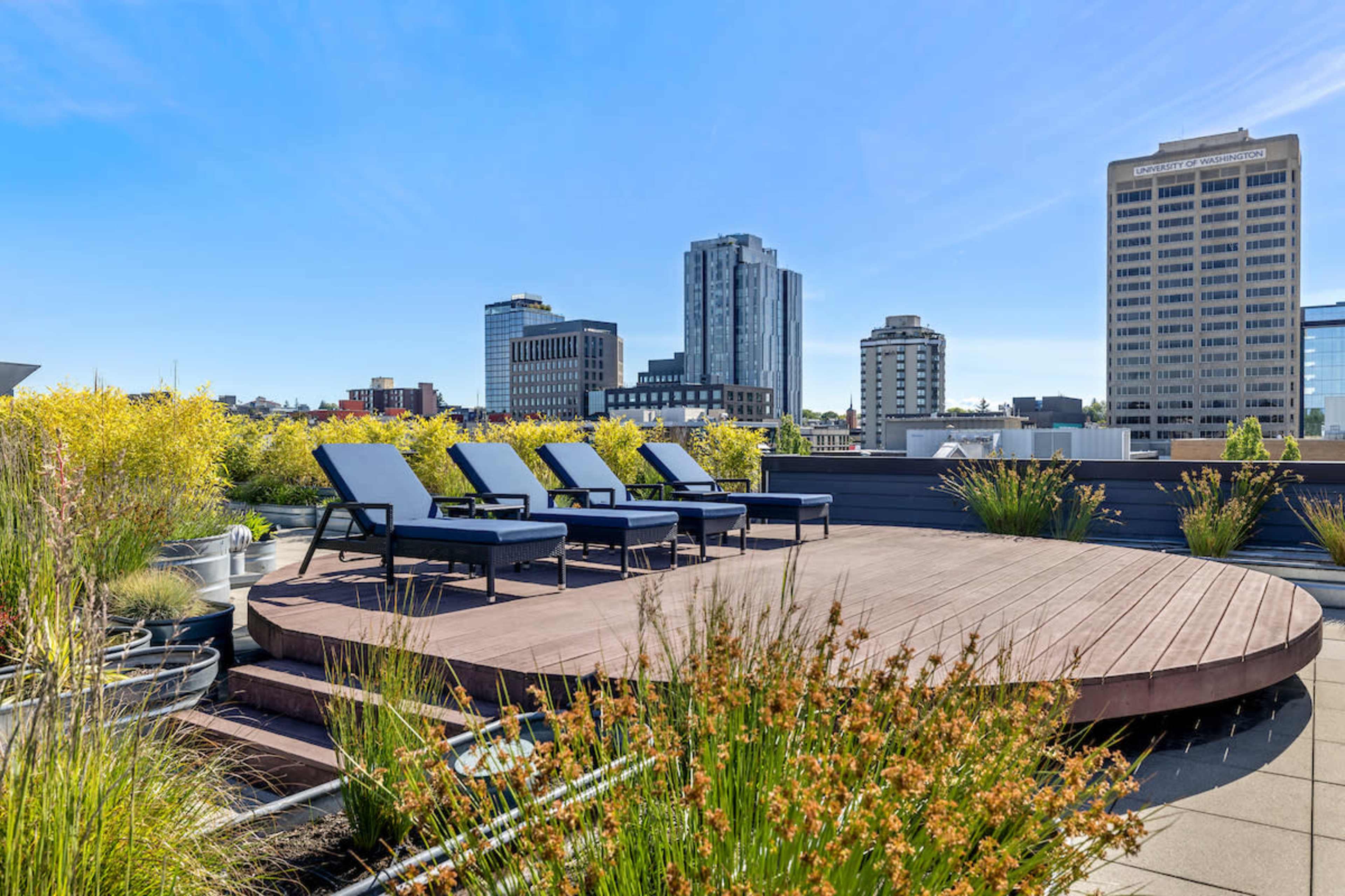 A rooftop terrace features several lounge chairs surrounded by greenery and a skyline view of tall buildings.