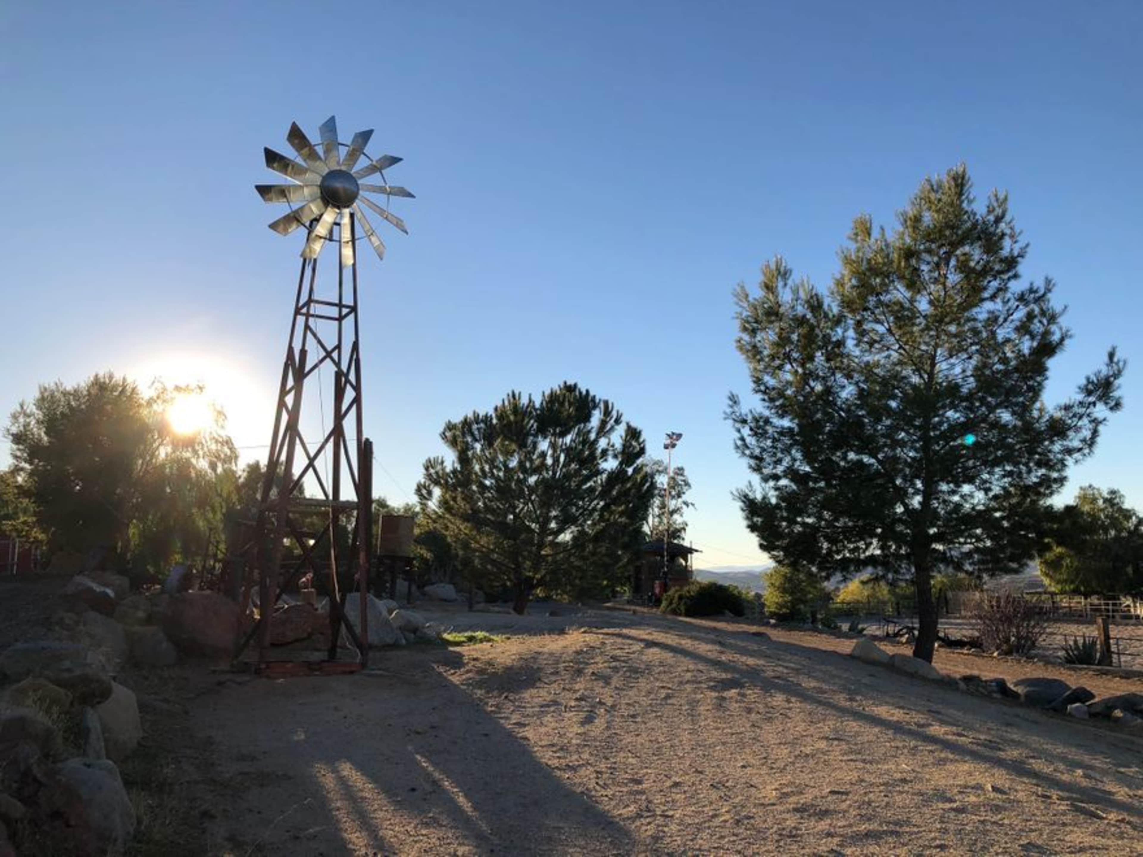 A windmill stands next to a dirt path surrounded by trees in a rural landscape during sunset.