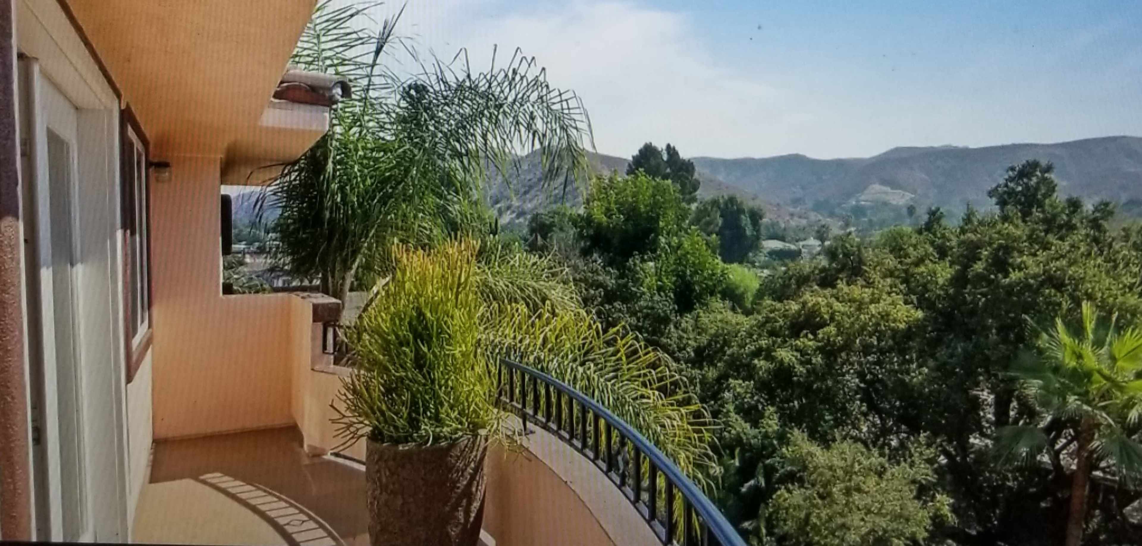 A balcony with potted palm plants overlooks a green valley surrounded by hills.