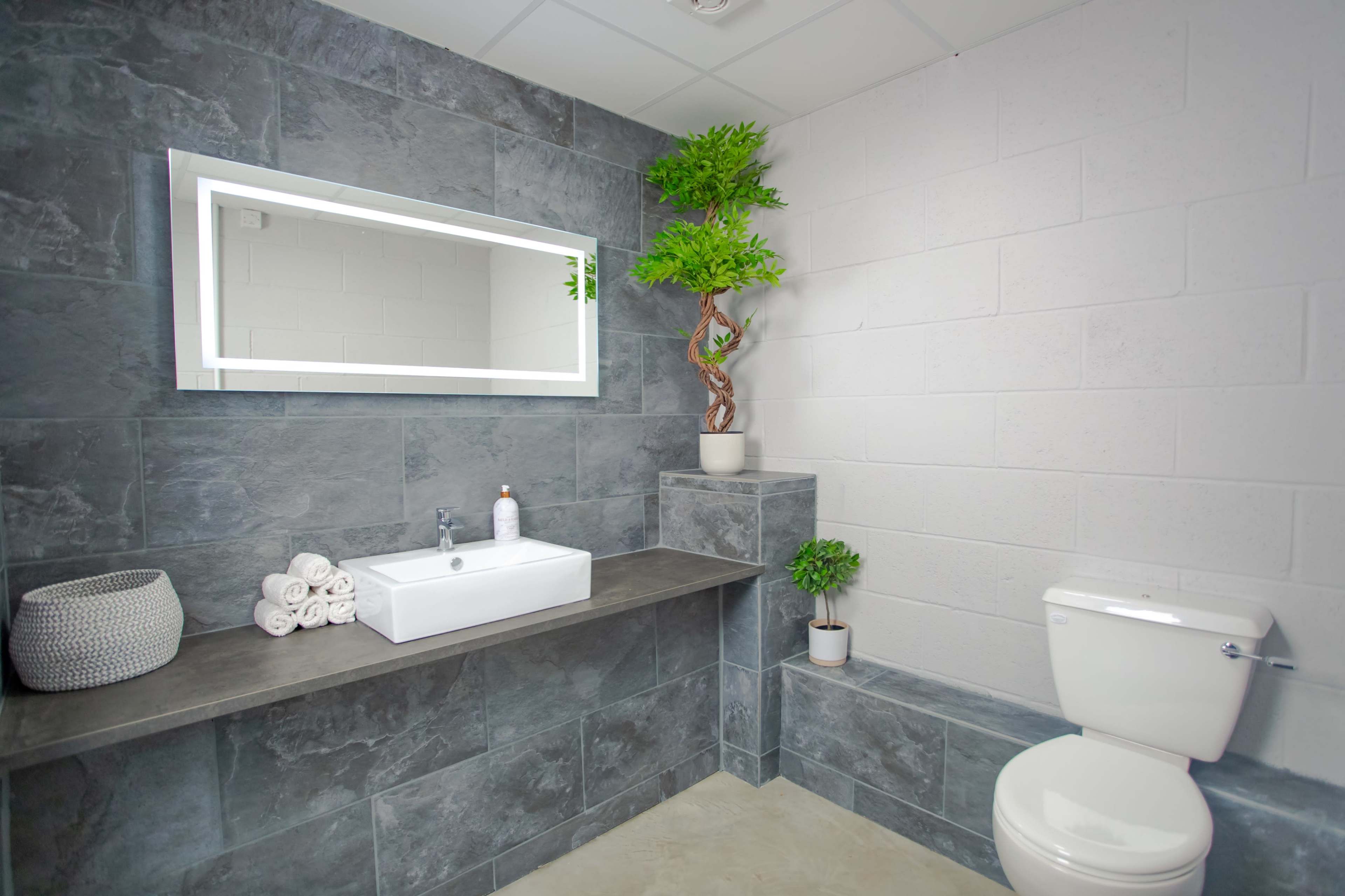 A modern bathroom featuring a rectangular sink, a large mirror, a toilet, and decorative plants against gray tiled walls.