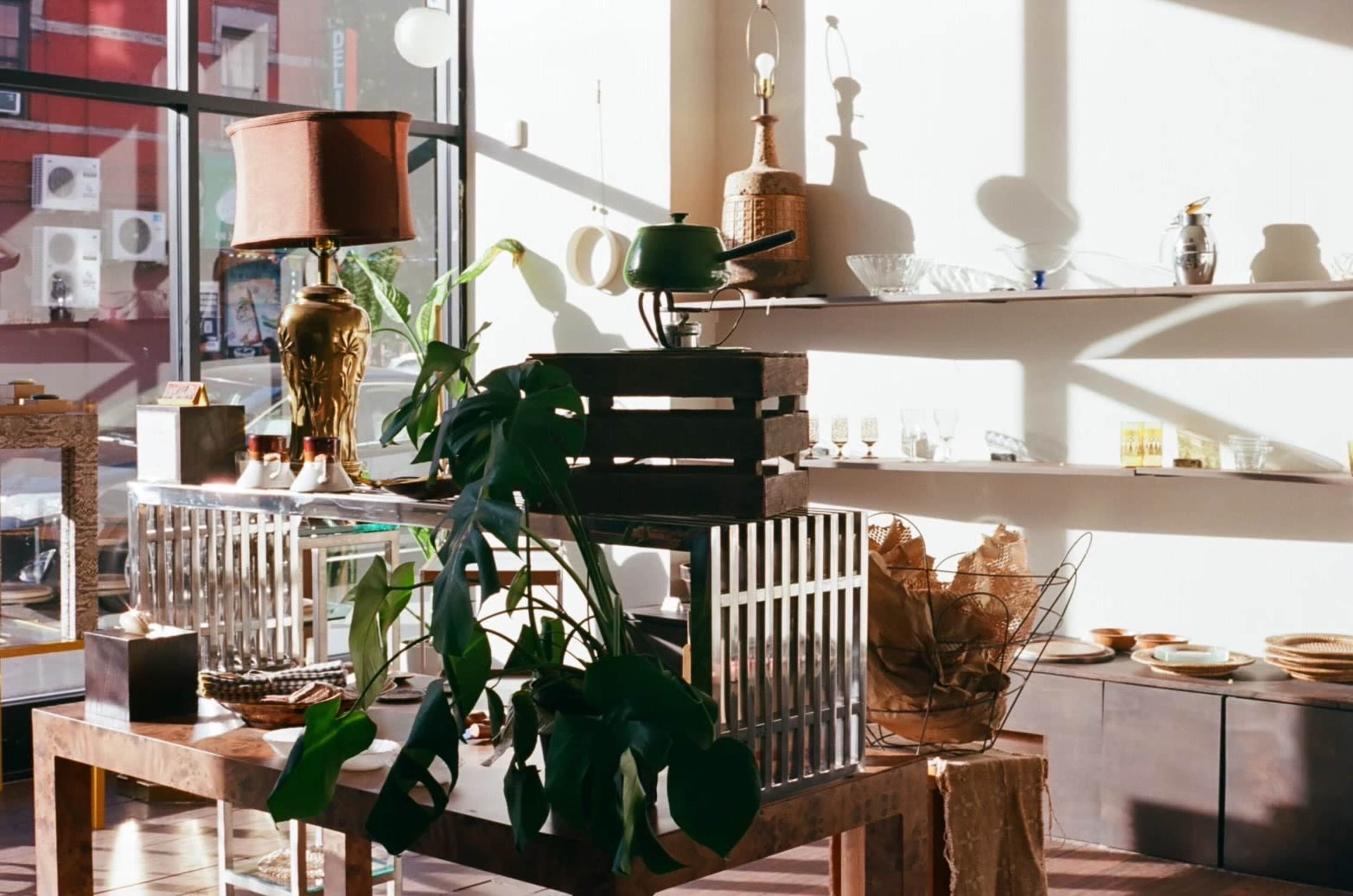 The image shows a well-lit interior featuring a display of various decorative items, including a lamp, plants, and shelves with glassware, set against a backdrop of large windows.