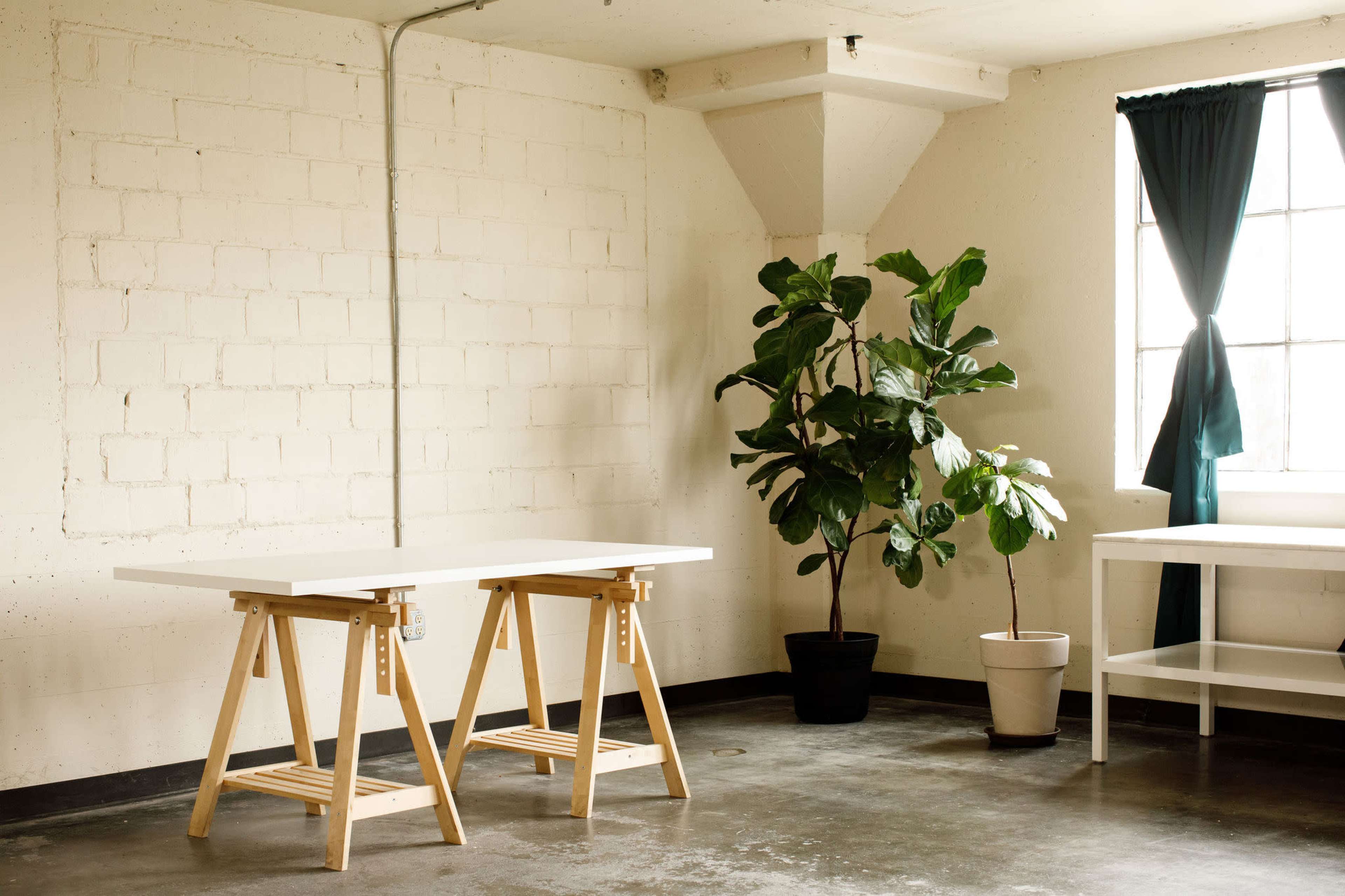 A spacious room features two wooden tables, a large potted plant, and a window with dark curtains.