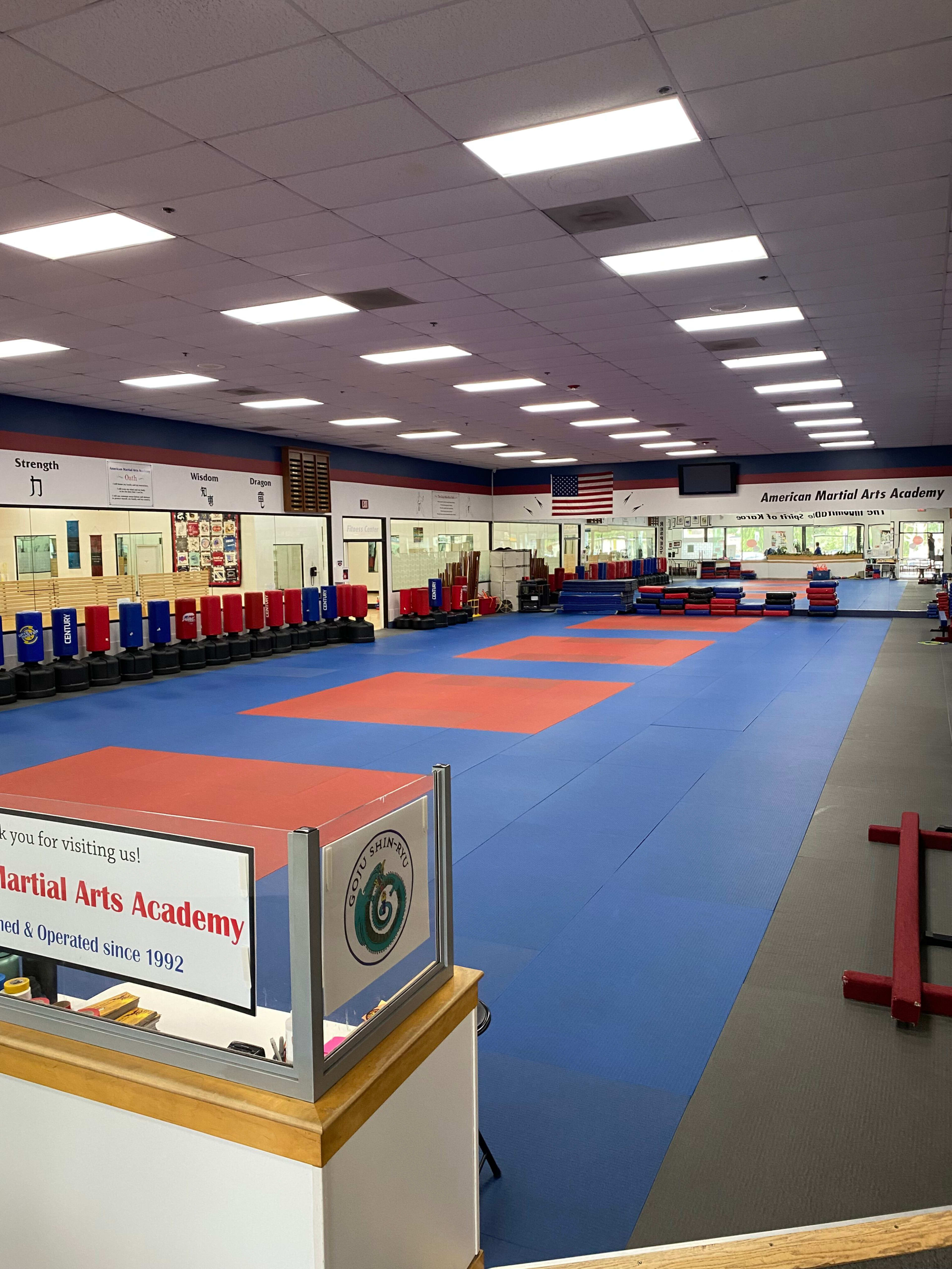 The image shows an empty martial arts academy gym with blue and red mat sections and training equipment along the walls.