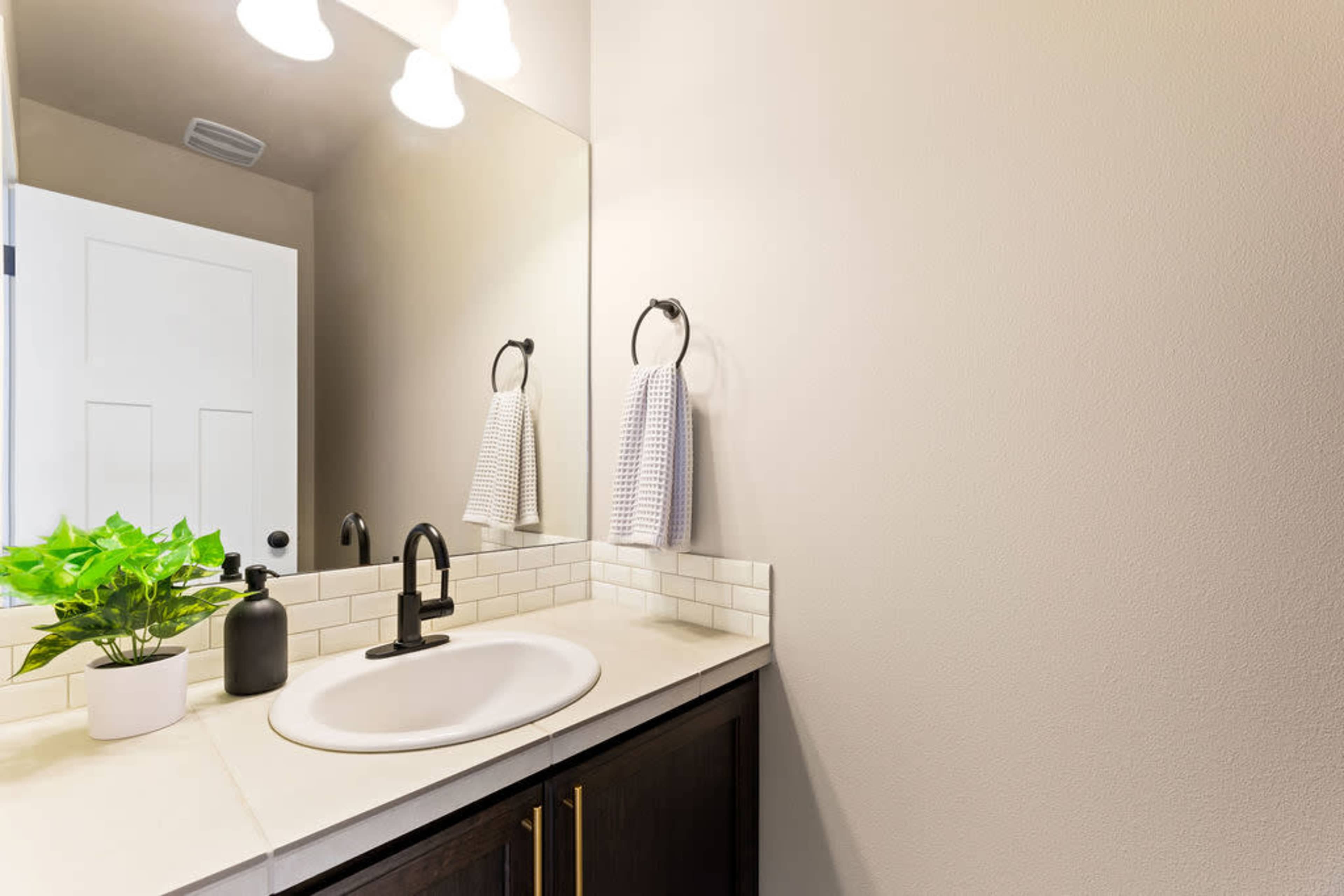 A bathroom sink area features a round basin, black faucet, a potted plant, and two towels hanging on hooks above the counter.