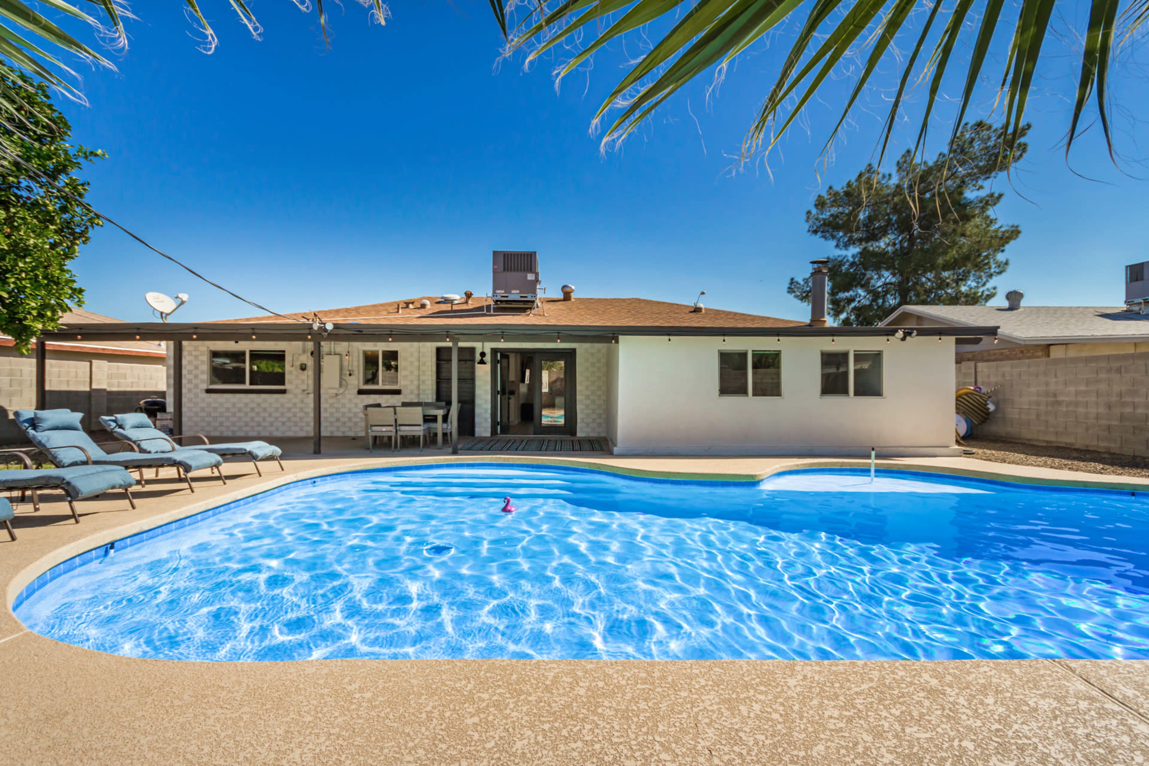 A backyard features a swimming pool surrounded by lounge chairs and a house with multiple windows.