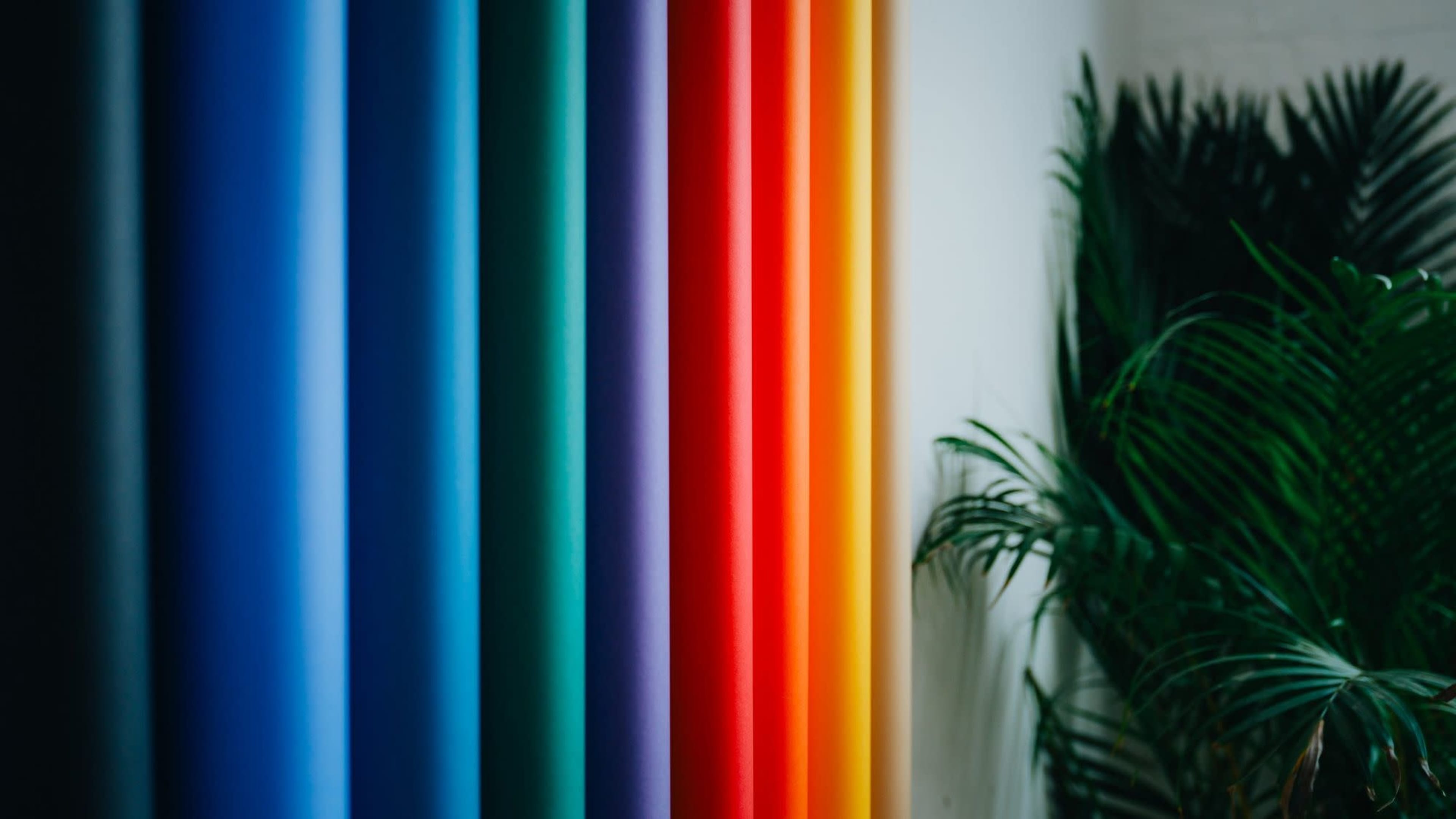 The image features a vertical arrangement of colorful rolls of paper positioned alongside a green plant.