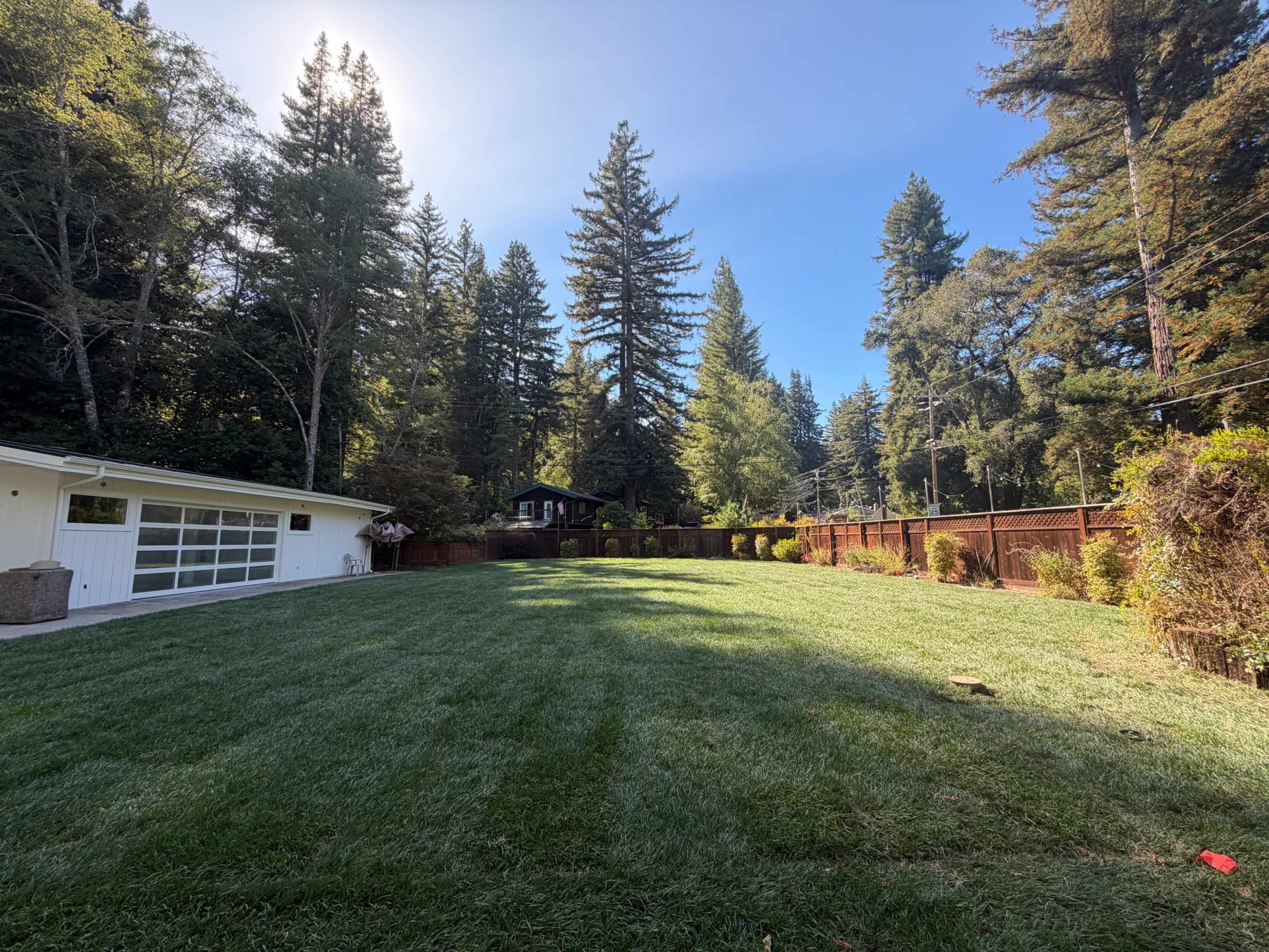 The image shows a spacious, grassy backyard surrounded by tall trees and a wooden fence.