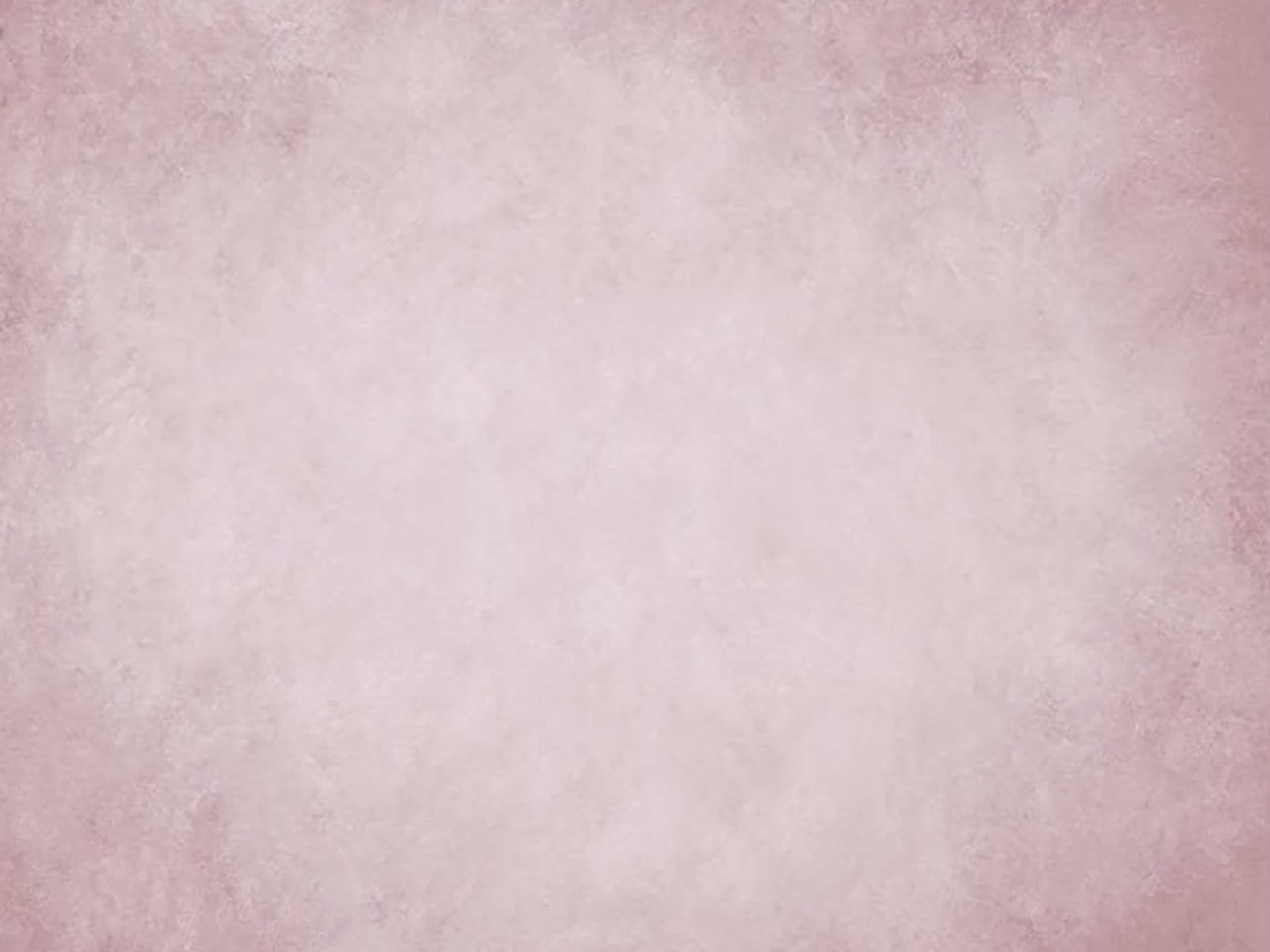 Dusty Pink Portrait Backdrop