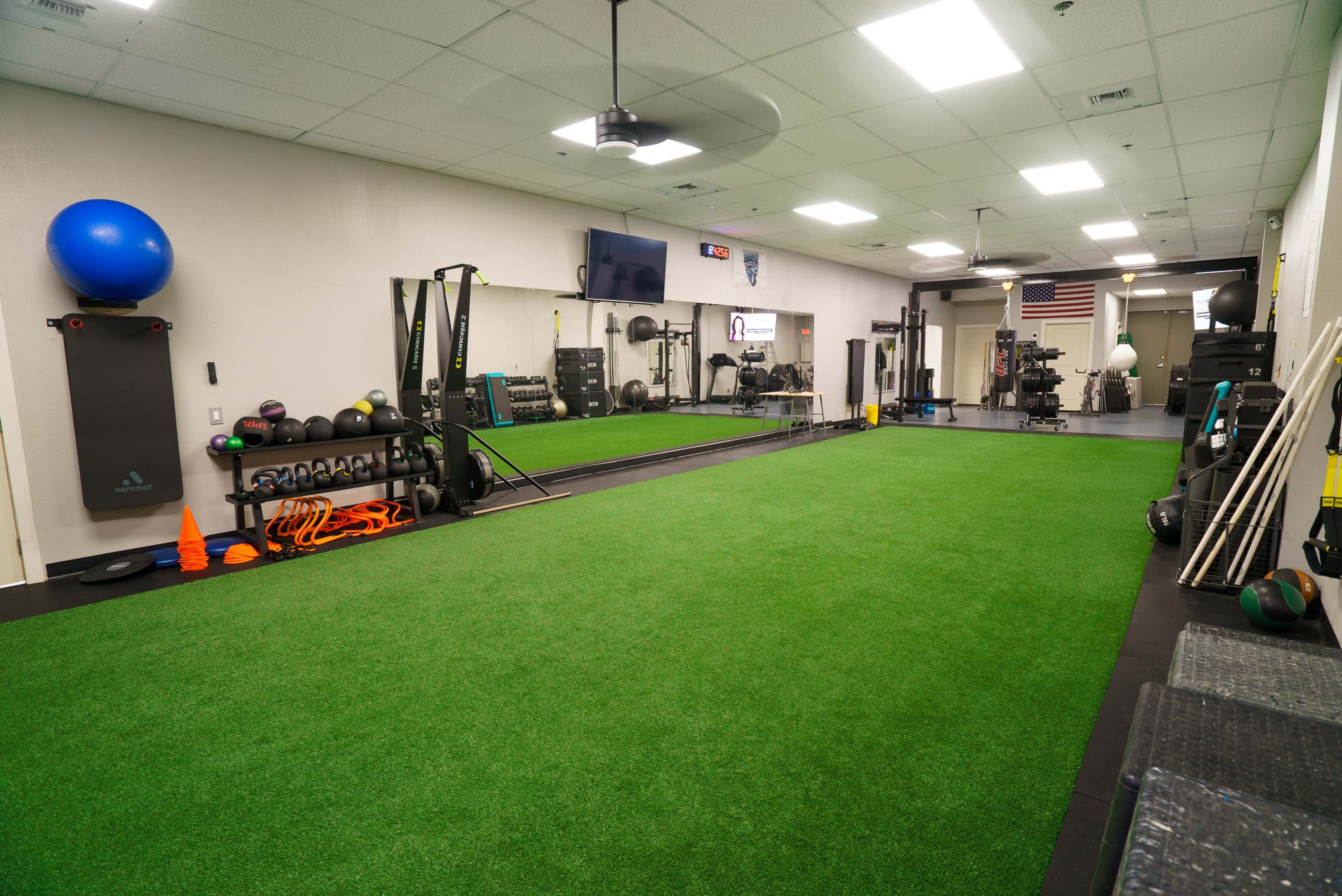 A spacious indoor gym with artificial turf flooring, exercise equipment, weights, and a mirrored wall.