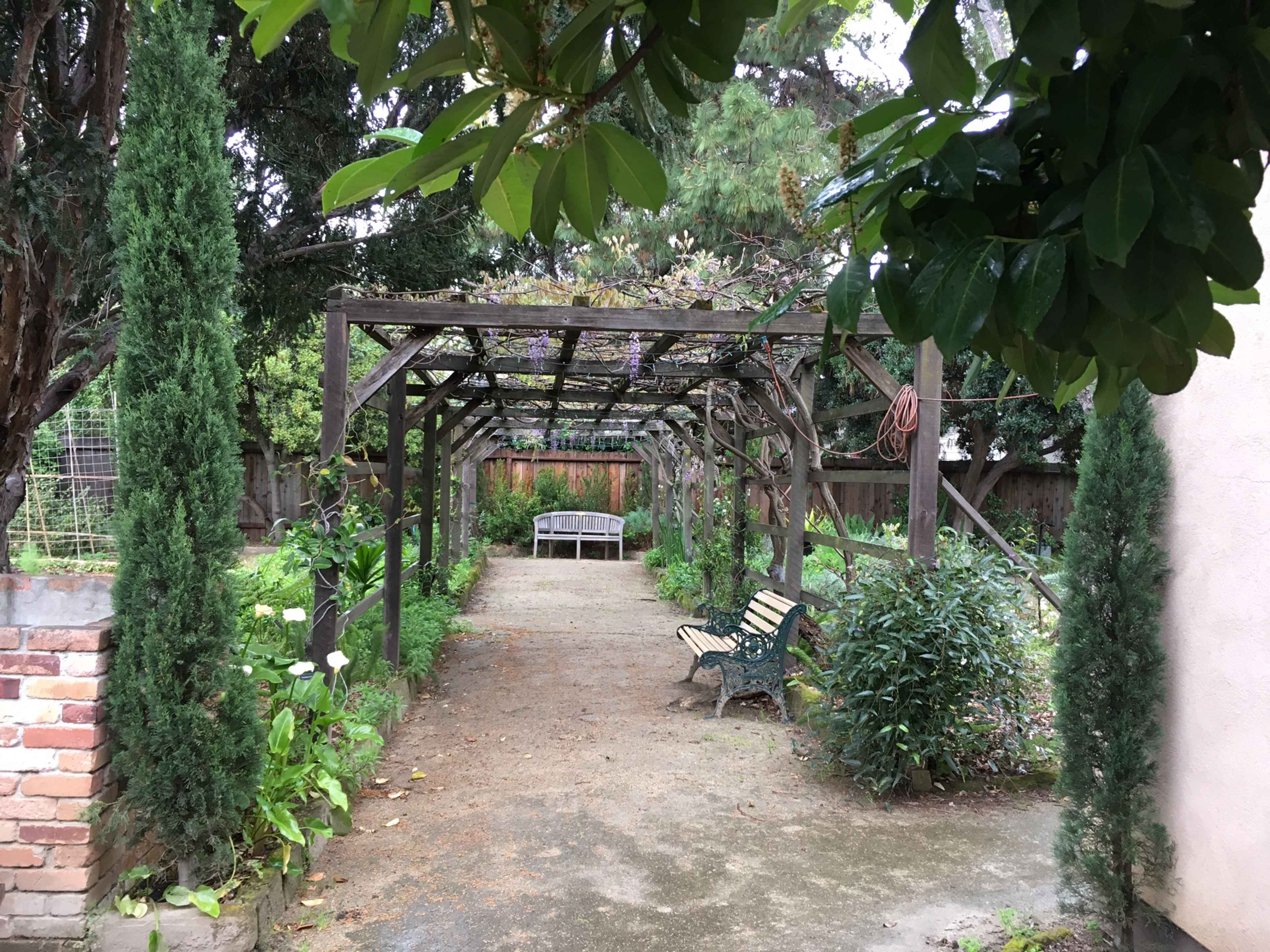 A pathway leads through a garden shaded by an overhead trellis, with a bench on one side and greenery lining the sides.