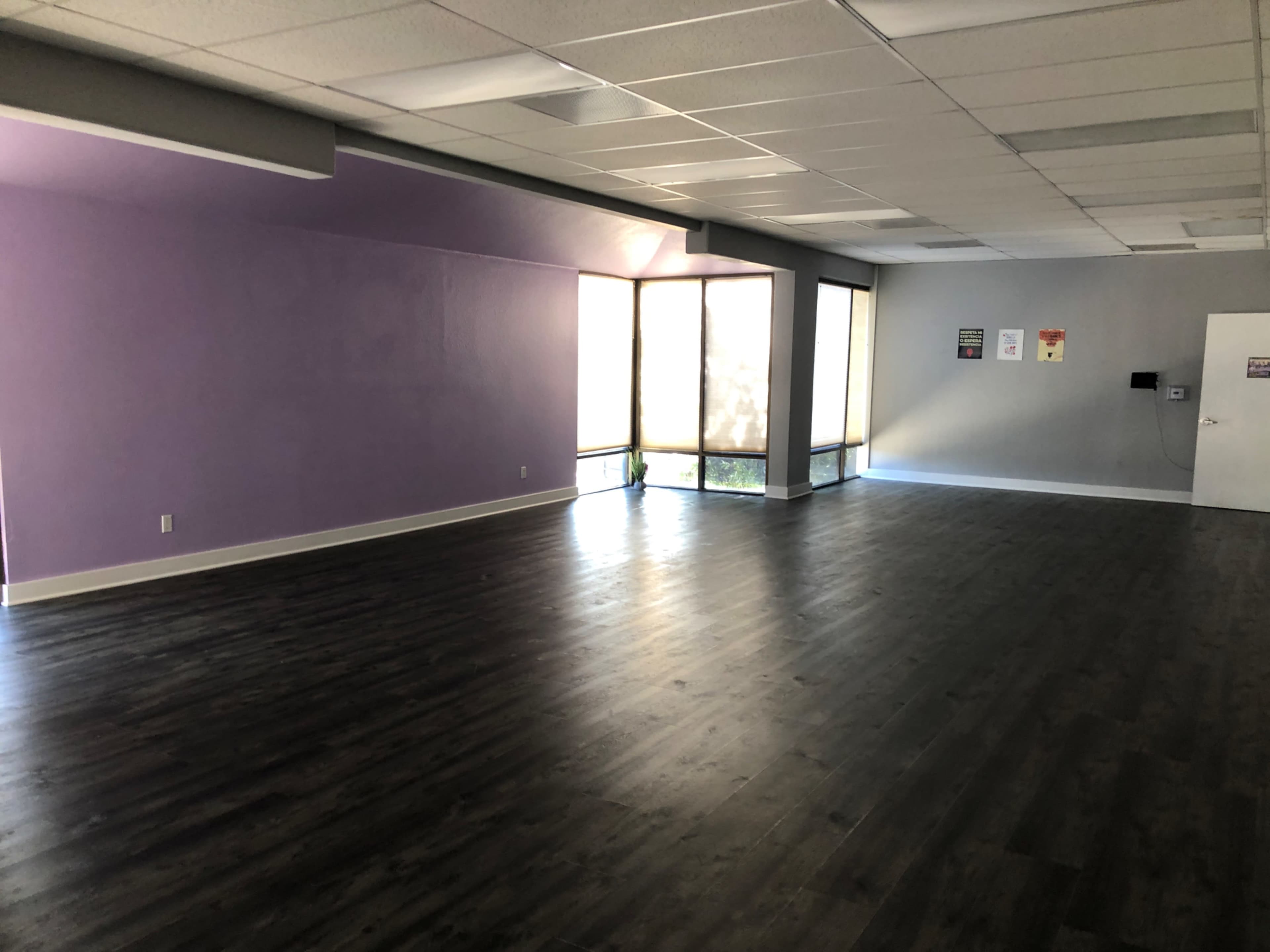 A vacant room with laminate flooring, purple walls, and large windows letting in natural light.