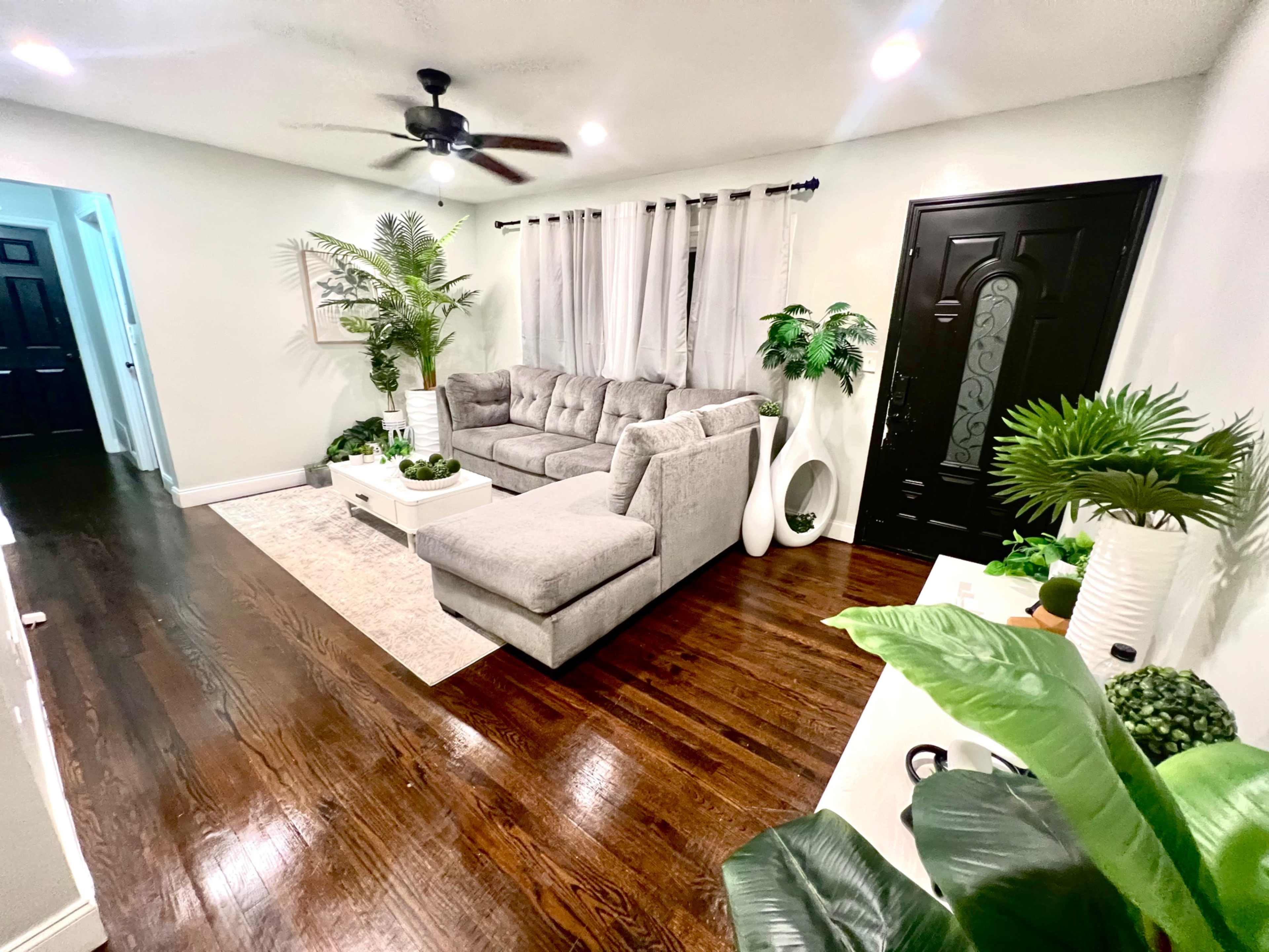 The image shows a small living room with a grey sectional sofa, a light-colored area rug, and various houseplants arranged around the space.