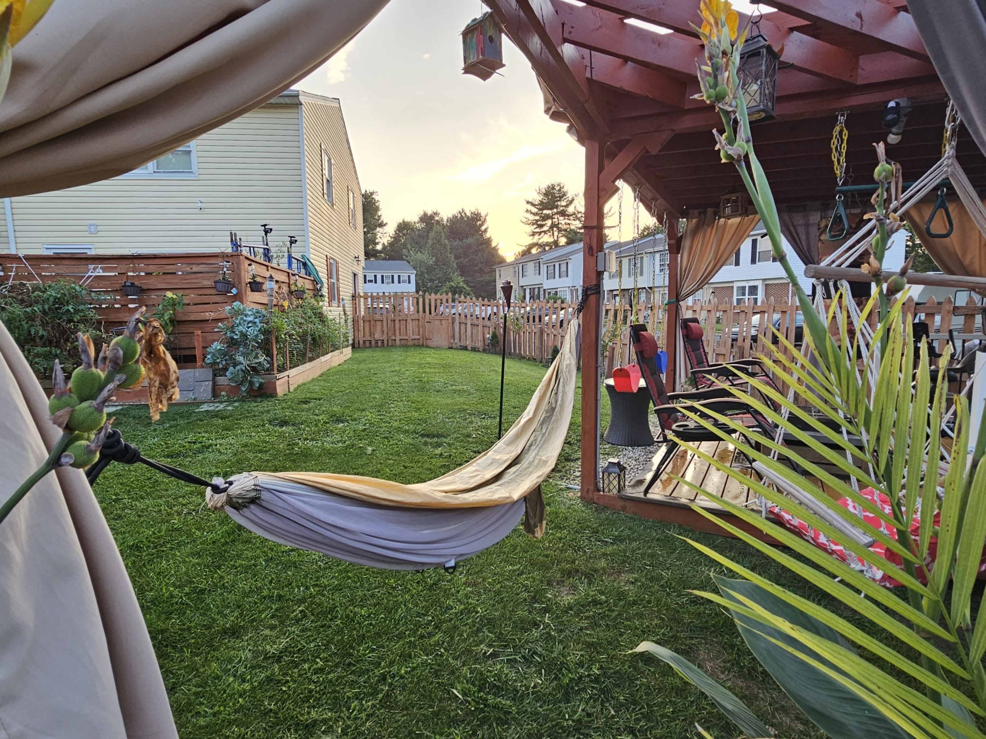 A backyard with a hammock hanging between two posts, surrounded by grass and a wooden fence, with a gazebo and various plants in the vicinity.