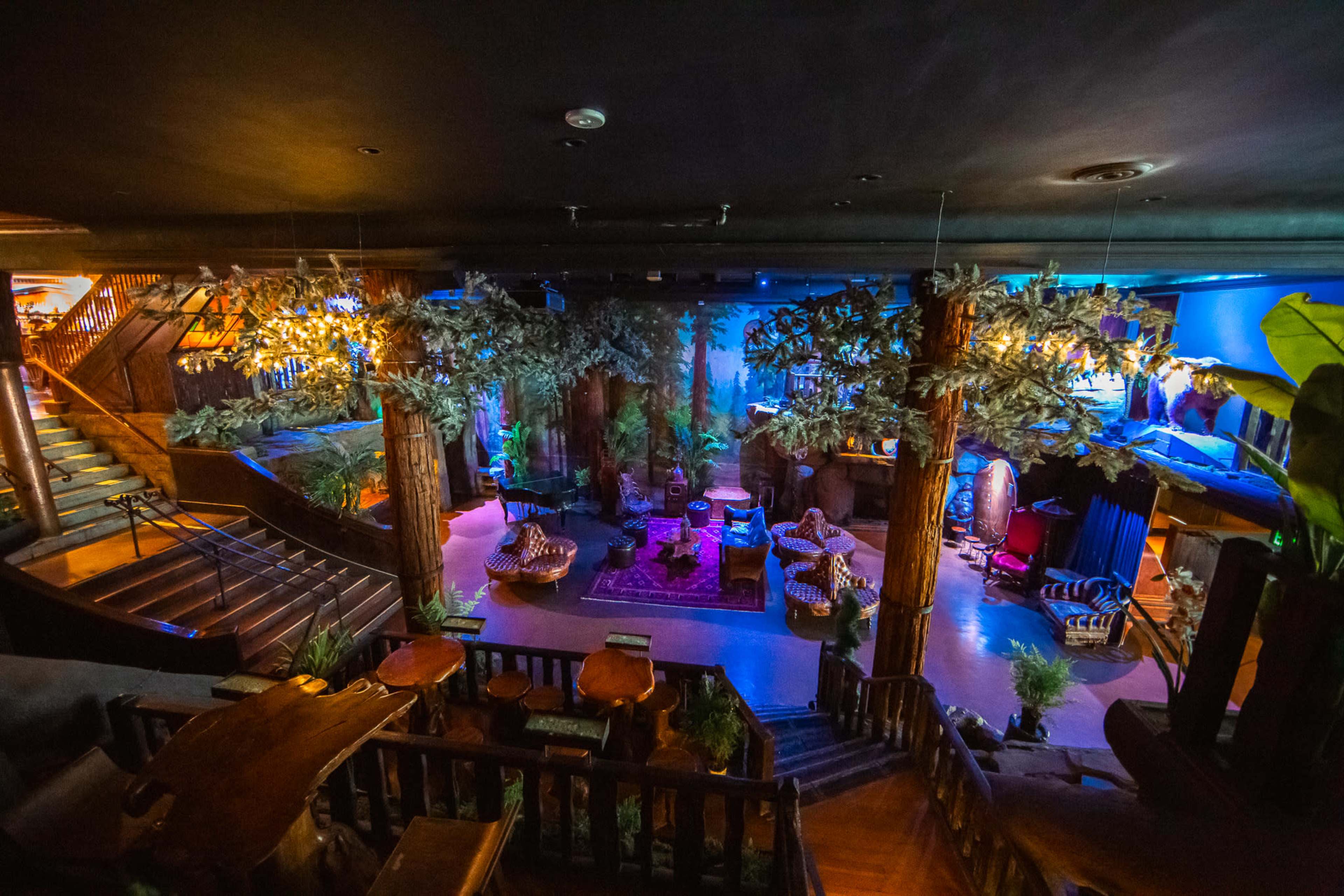 The image shows a dimly lit, tropical-themed lounge area with lush greenery, comfortable seating, and an upper-level view overlooking the space.