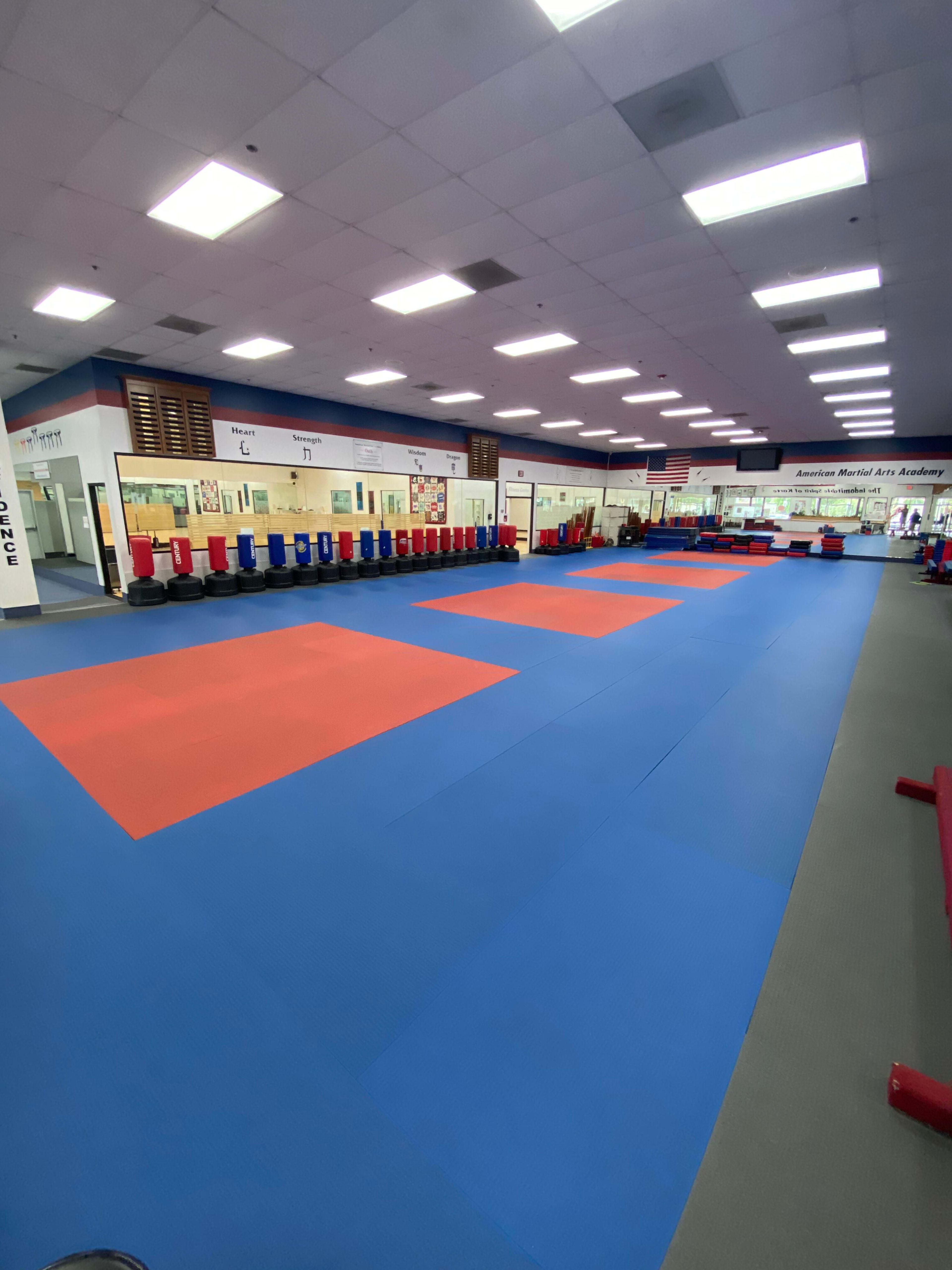 A spacious martial arts training room with a blue and red mat area, surrounded by equipment and training stations.