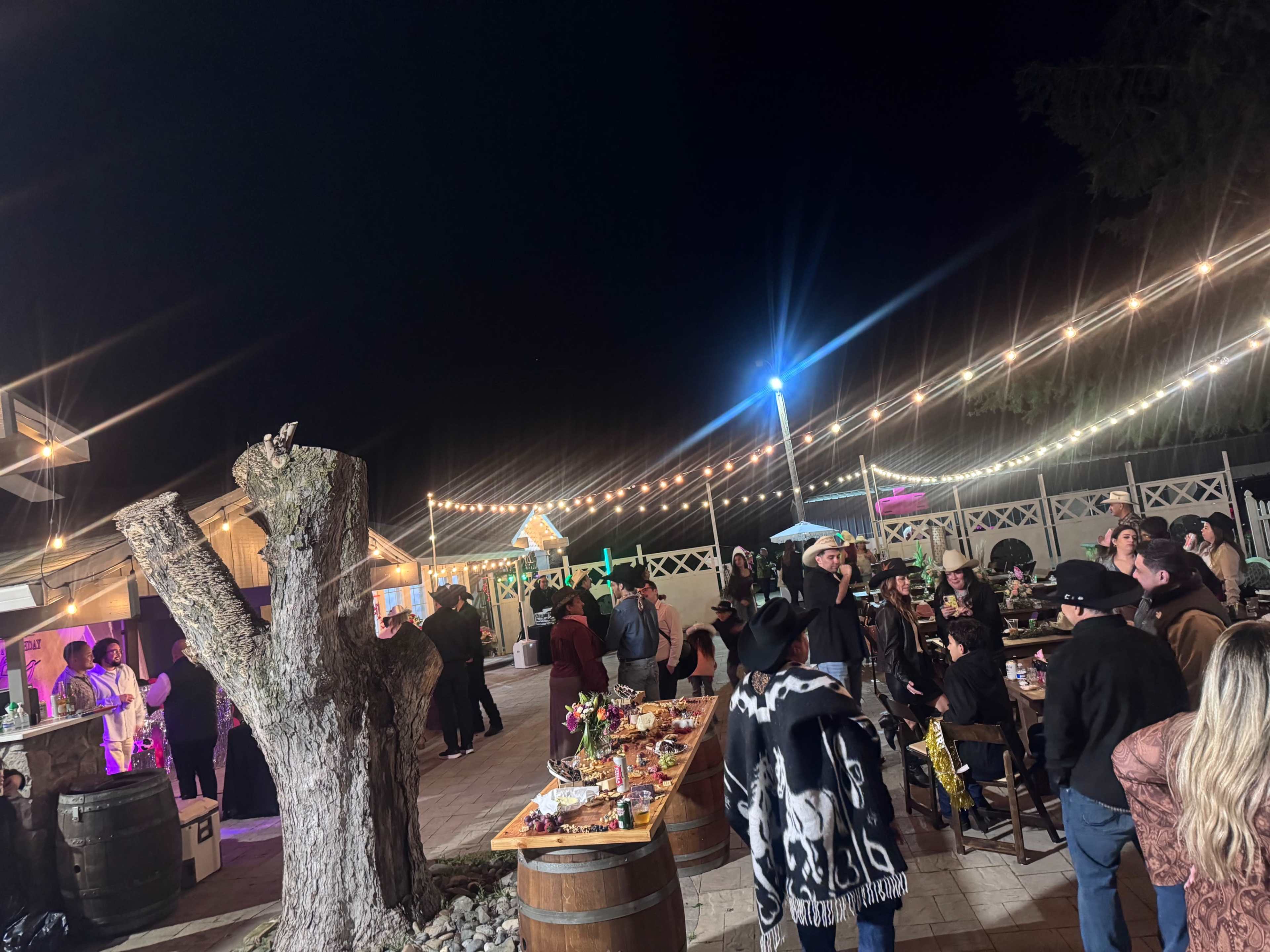 A lively gathering takes place outdoors at night, with people mingling around tables laden with food and drinks, illuminated by string lights.