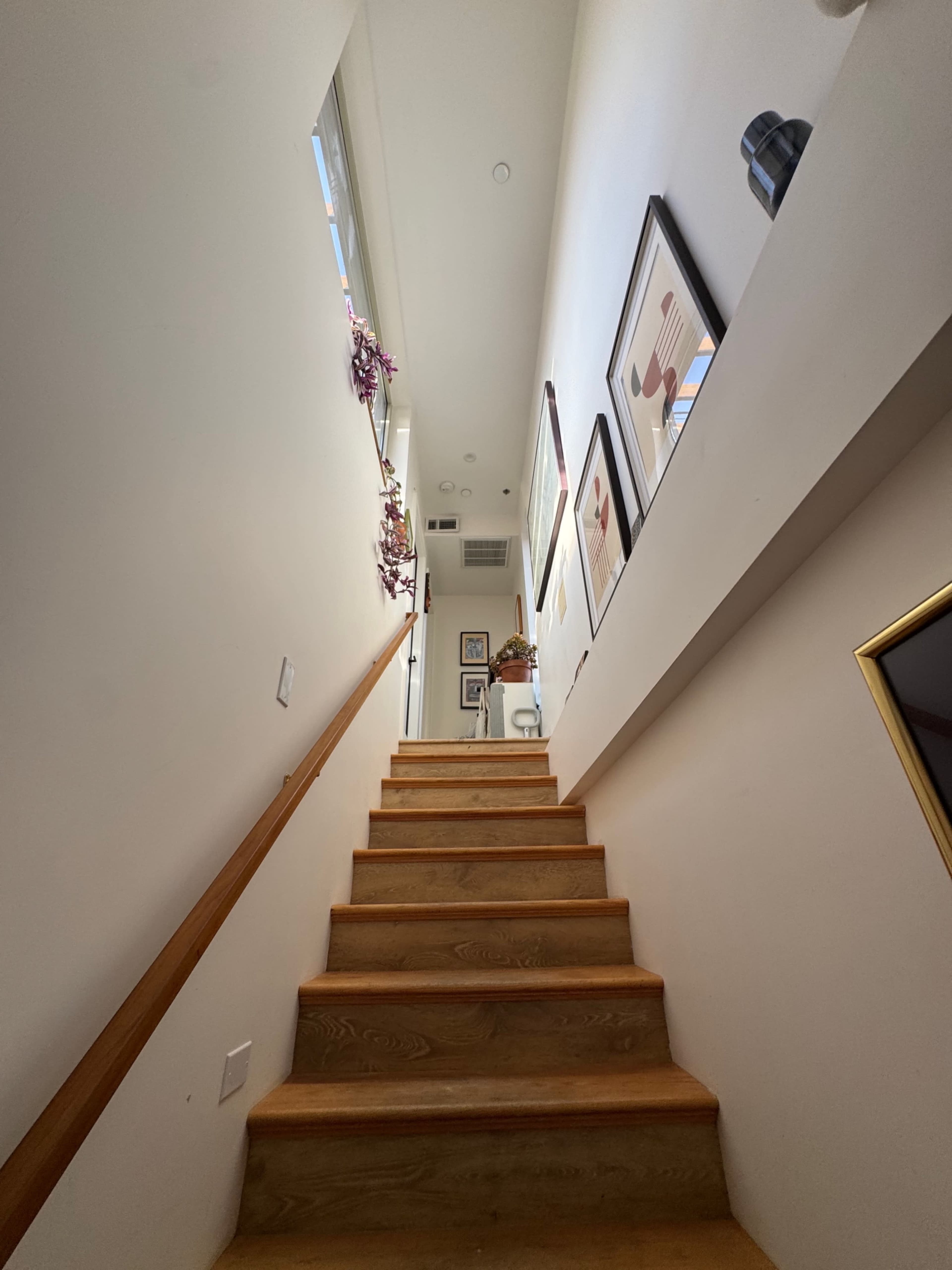 The image shows a staircase leading upward in a well-lit hallway adorned with artwork and decorative plants.