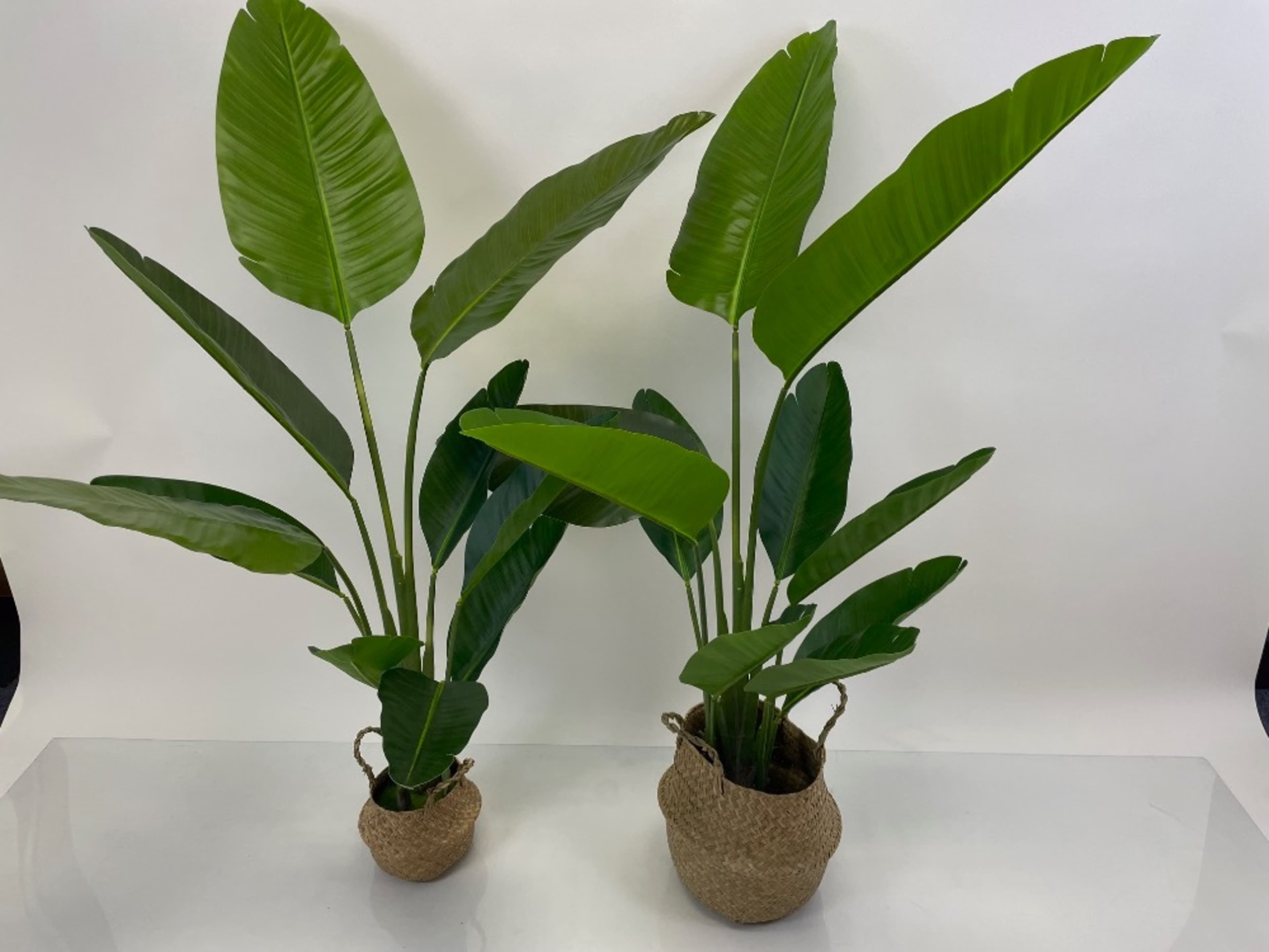 Faux plants