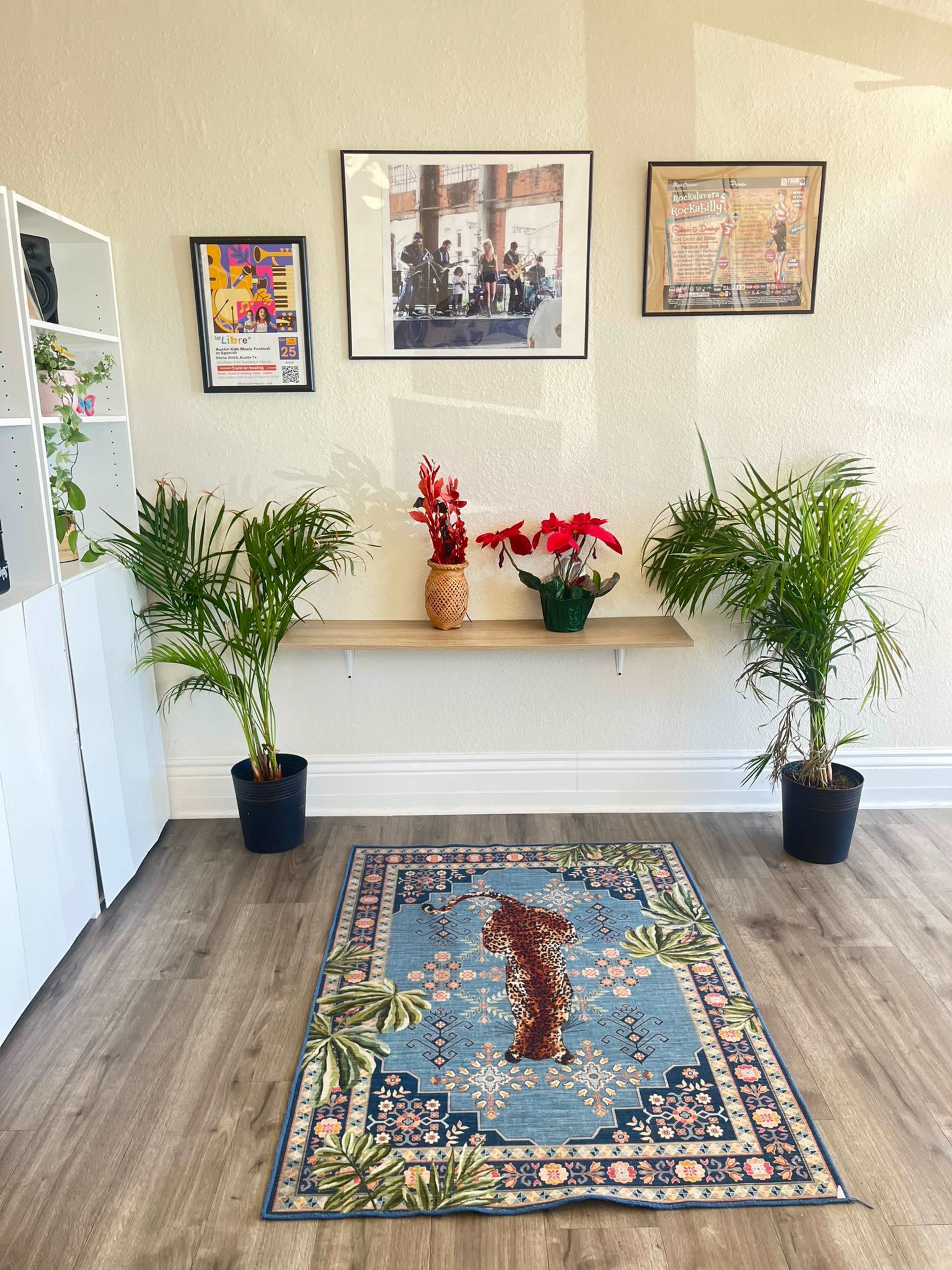 The image shows a room with a decorative rug in the center, flanked by two potted plants, and featuring a shelf with a floral arrangement and framed artwork on the walls.