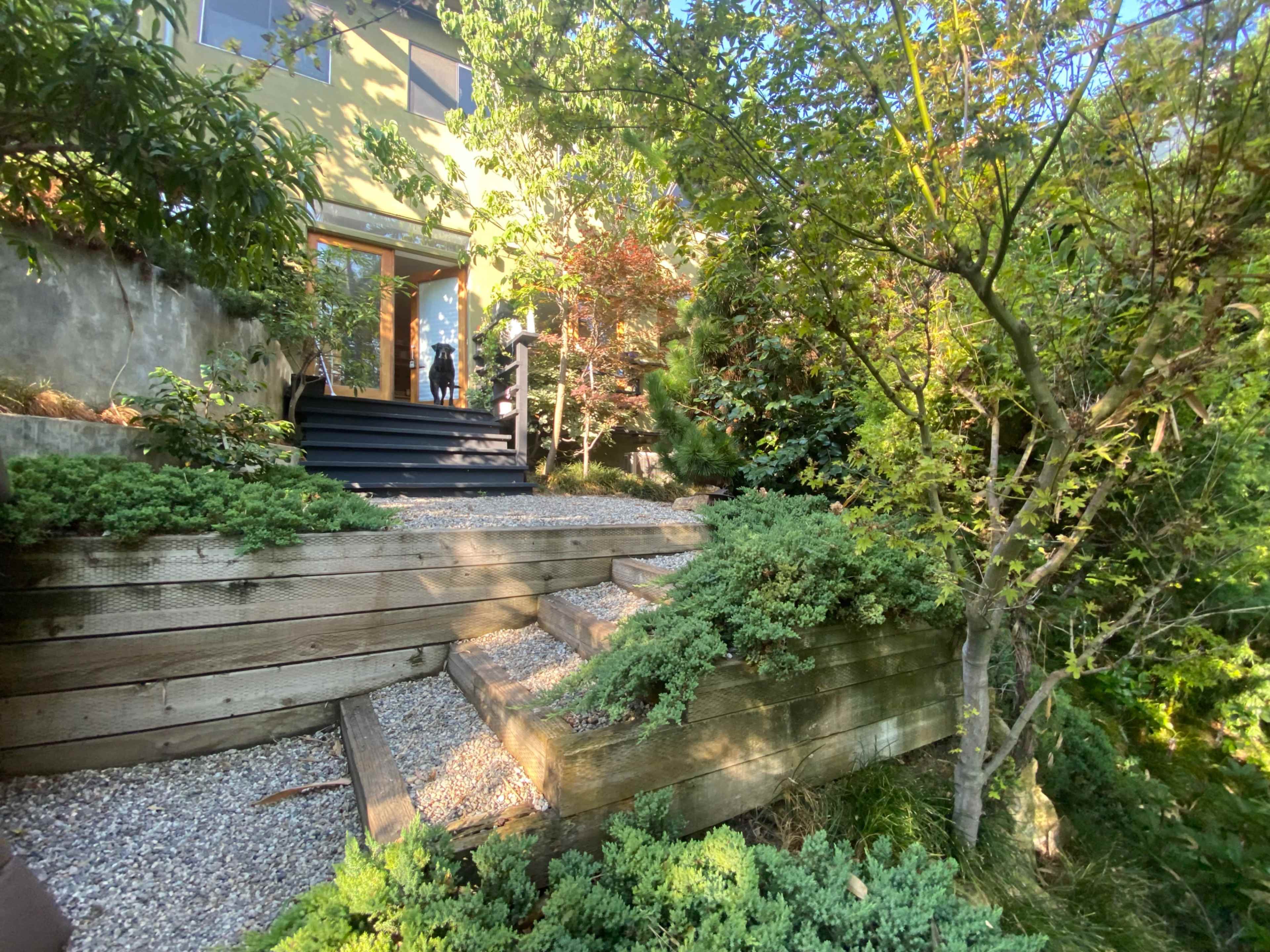 A pathway made of wooden steps leads up through a garden with shrubs and small trees to a house.