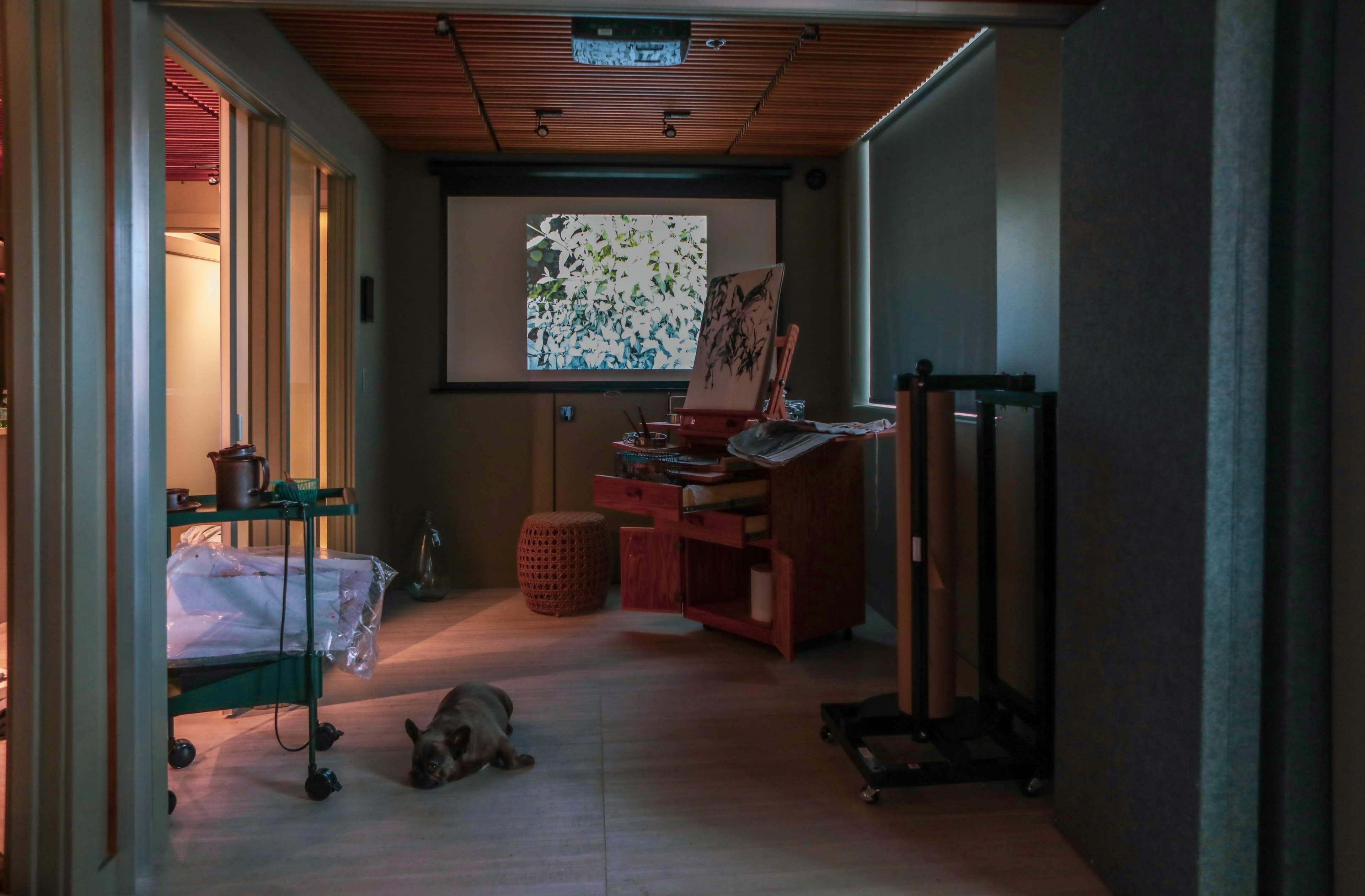 A dog lies on the floor in a room featuring a projection screen, various furniture pieces, and art supplies.