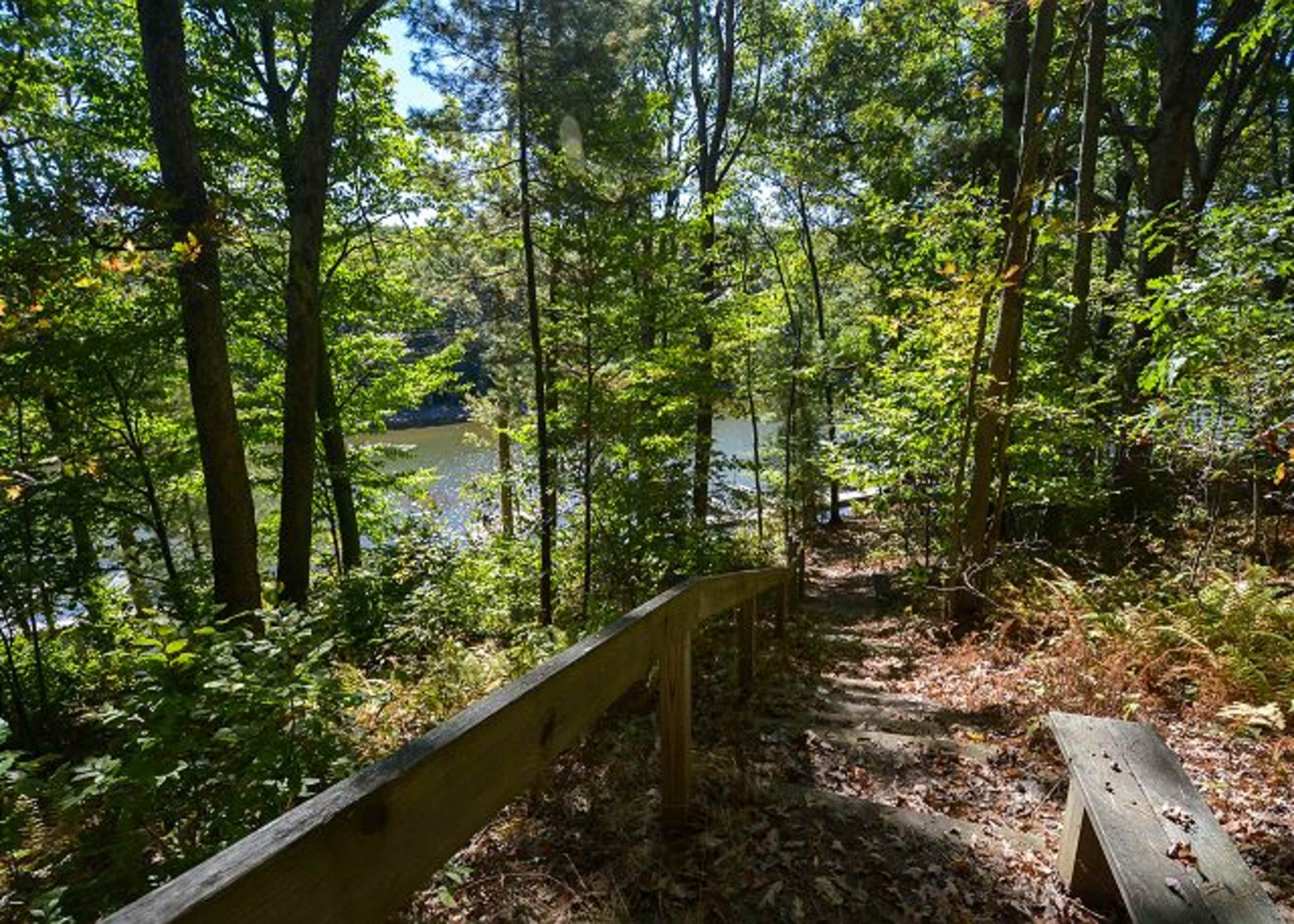 A pathway lined with wooden rails descends through a forest toward a river seen in the distance.