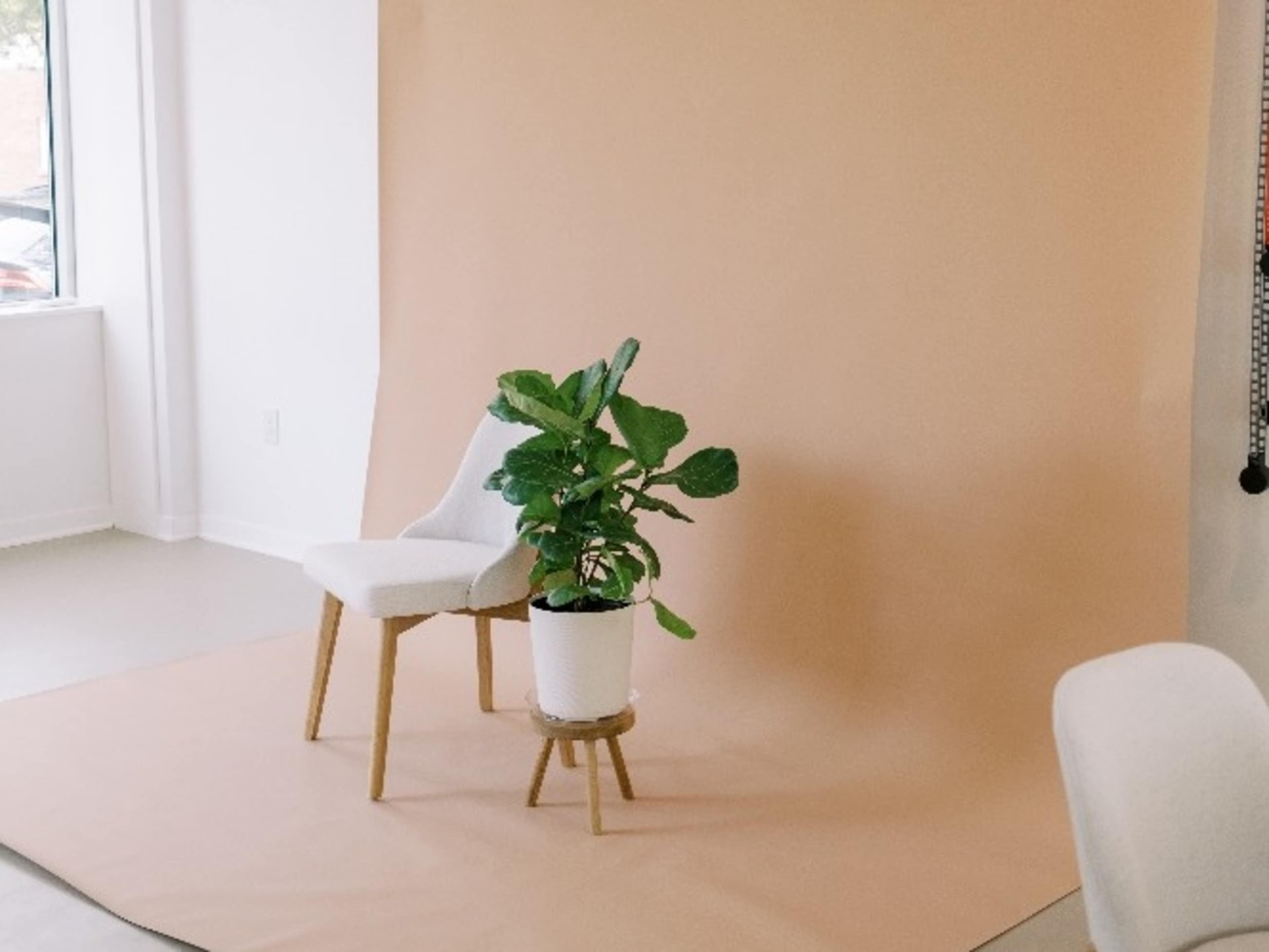 Dark Beige Seamless Paper Backdrop