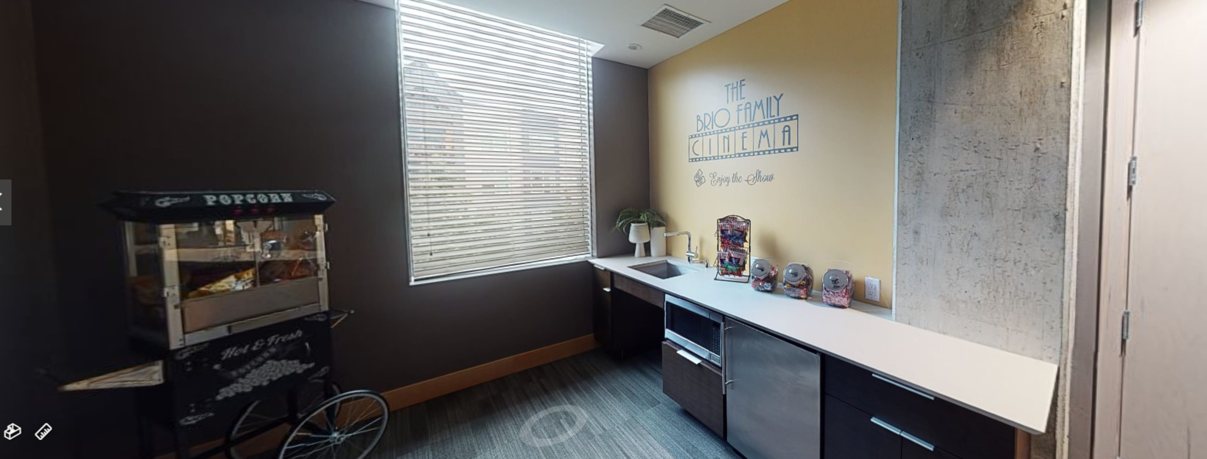 Plush Theater Room in Bellevue Image in Northwest Bellevue, Bellevue, WA