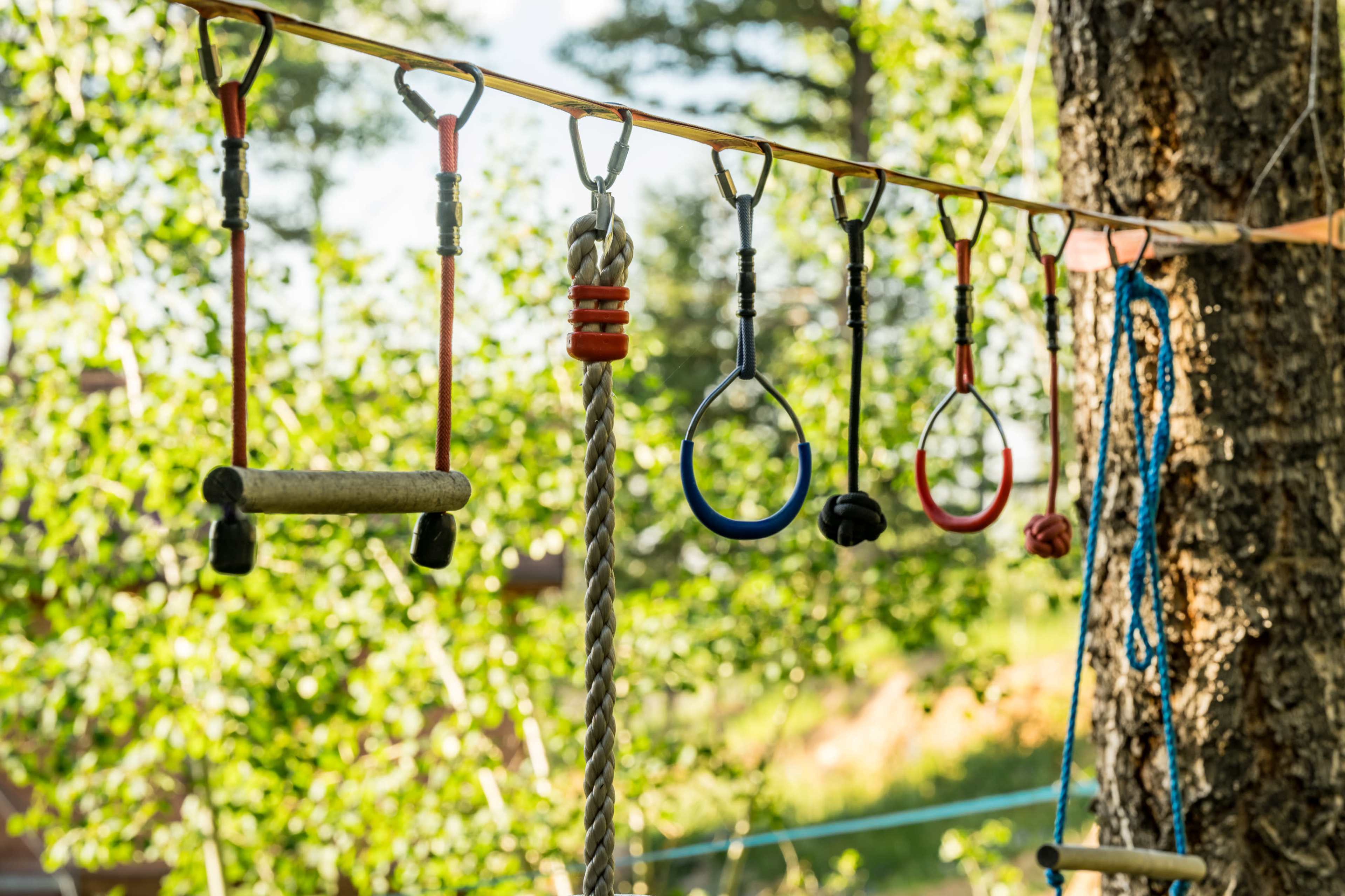 A selection of climbing gear, including carabiners and grips, hanging from a horizontal bar attached to a tree.