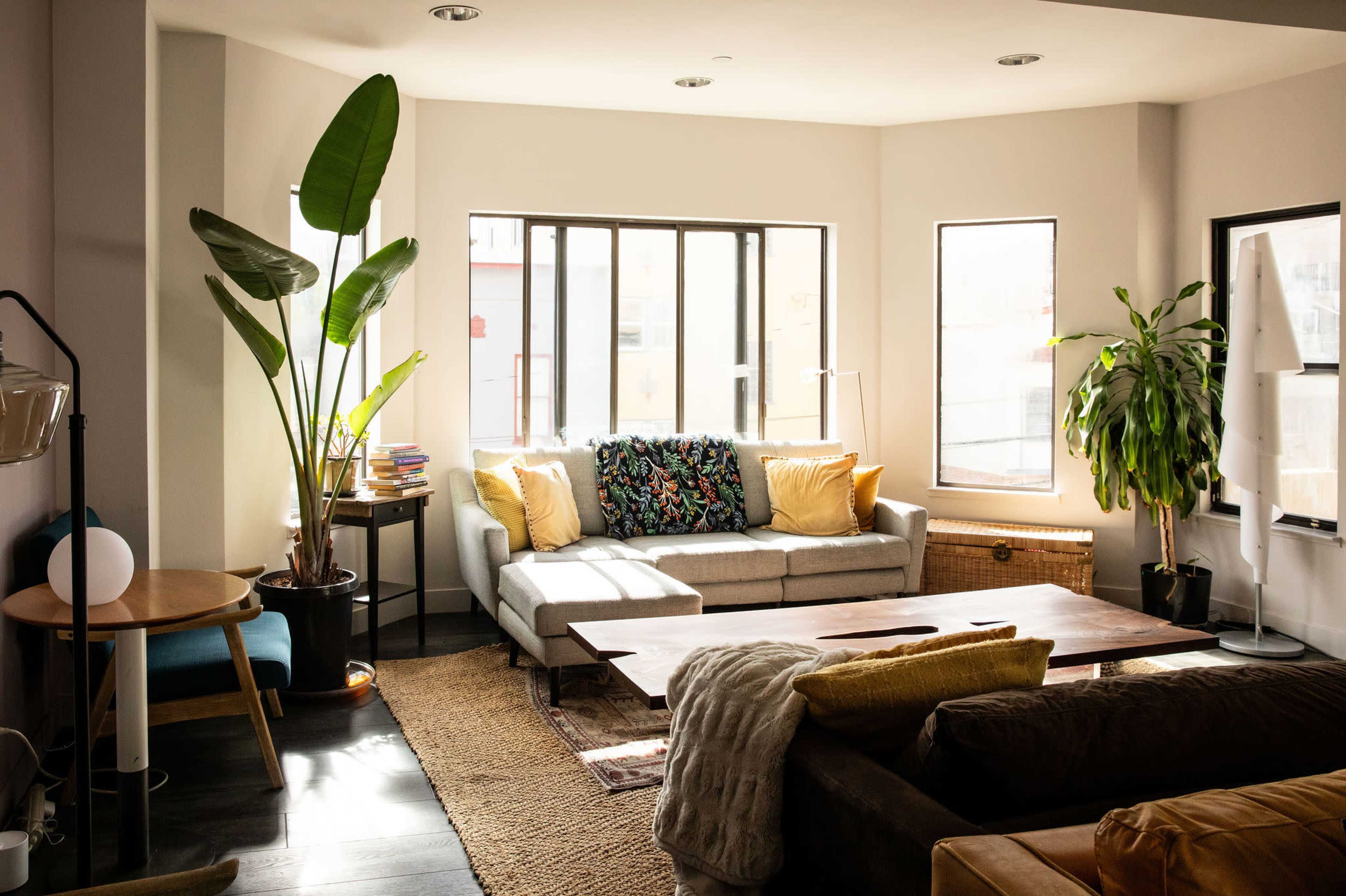The image shows a bright living room with a gray sofa adorned with colorful pillows, wooden coffee table, plants in the corners, and large windows allowing natural light to fill the space.
