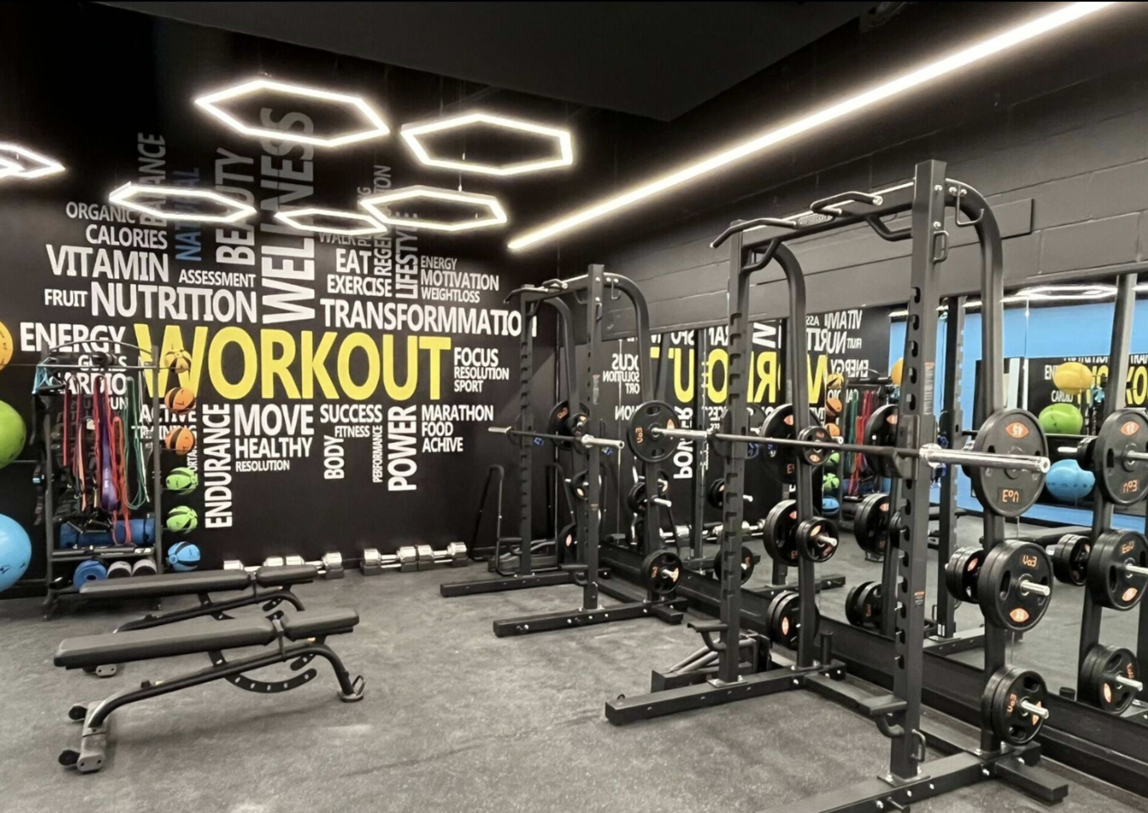 Sleek Fitness Studio With Modern Custom Lighting and Top-Notch Equipment Image in Niagara, Toronto, ON