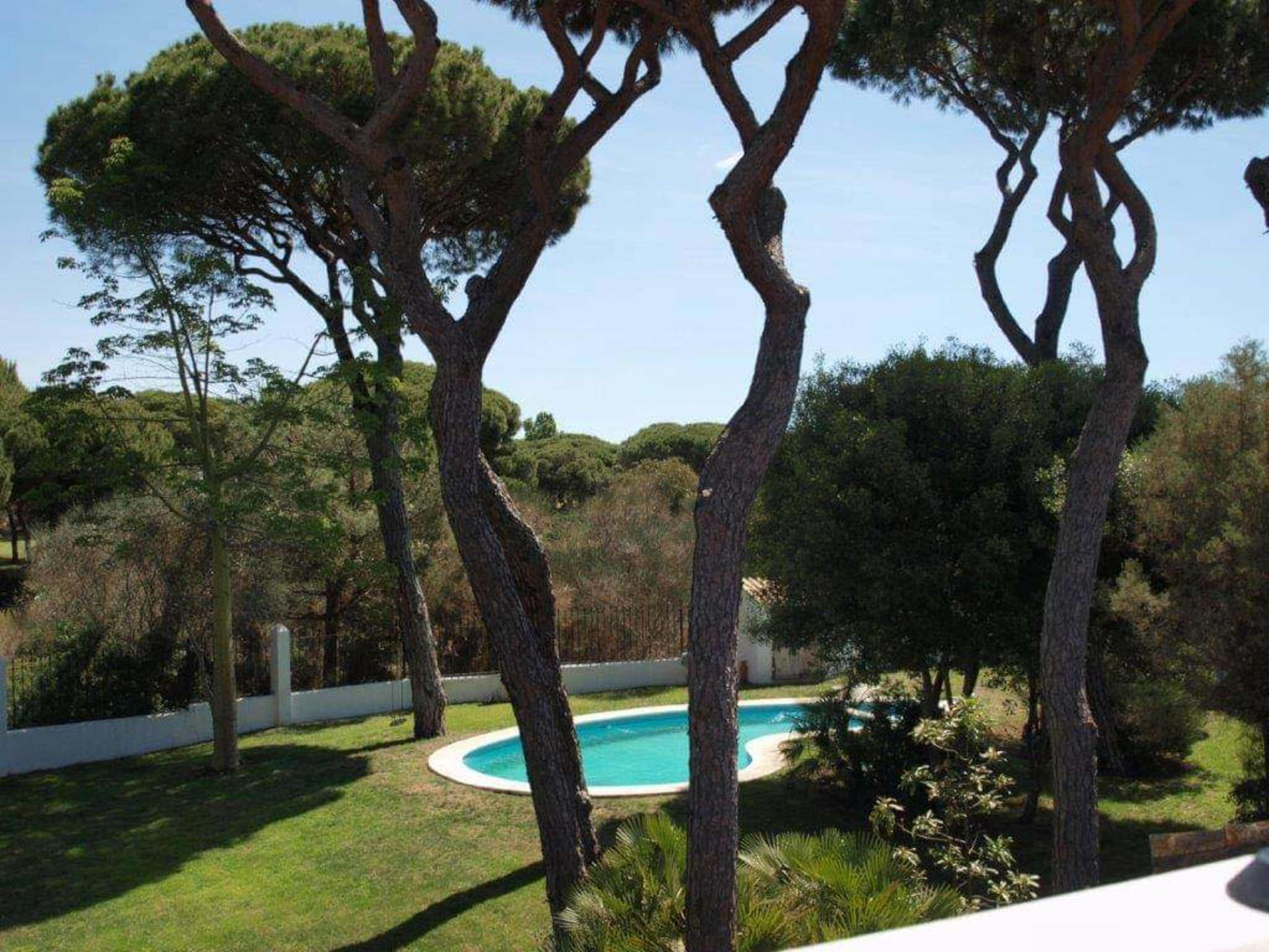 The image shows a clear view of a swimming pool surrounded by trees and greenery in a backyard setting.