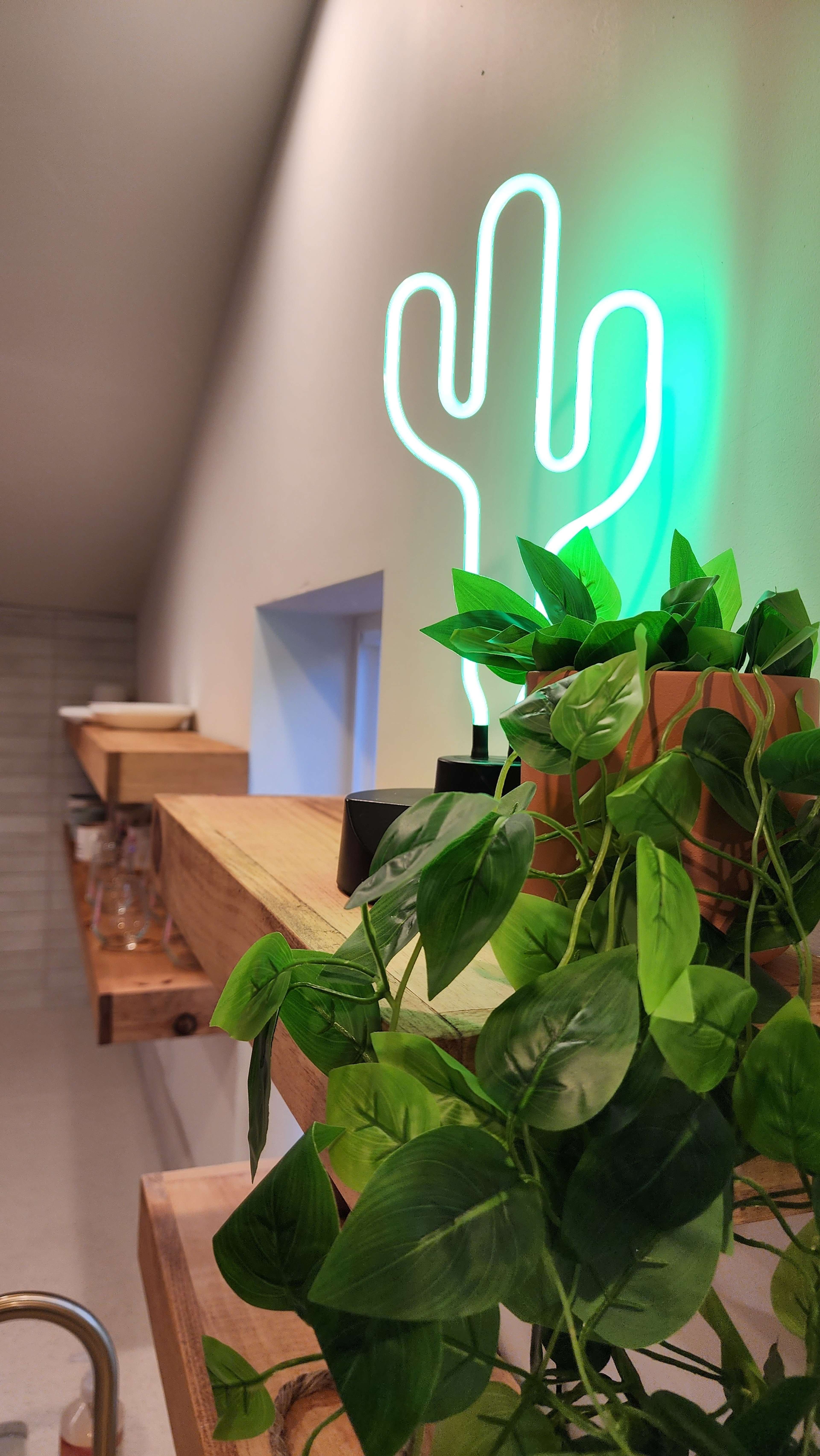 A neon cactus light is attached to a wall above wooden shelves adorned with green plants.