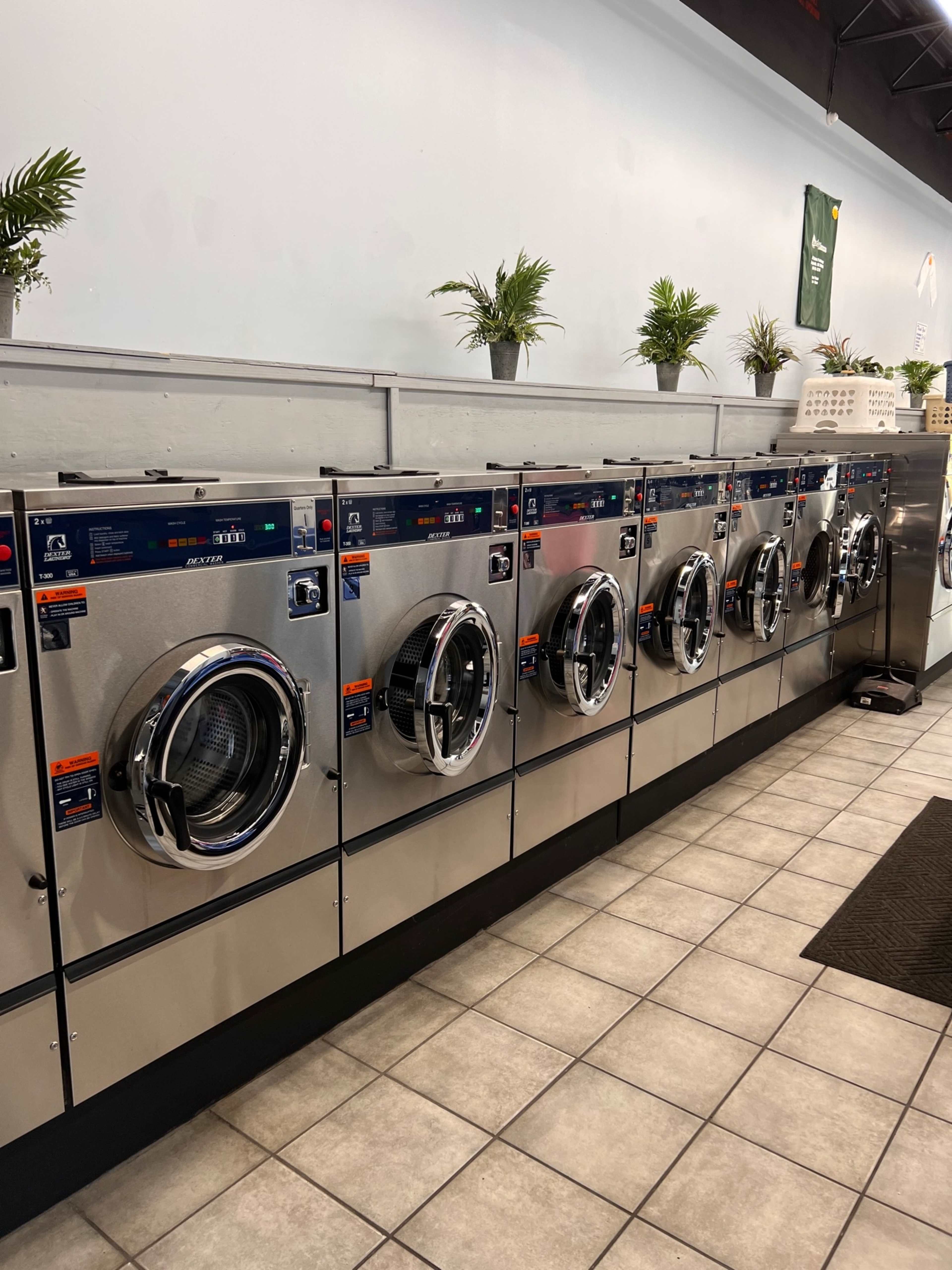 A row of silver washing machines is lined up in a laundromat, with small plants placed on the ledge above.