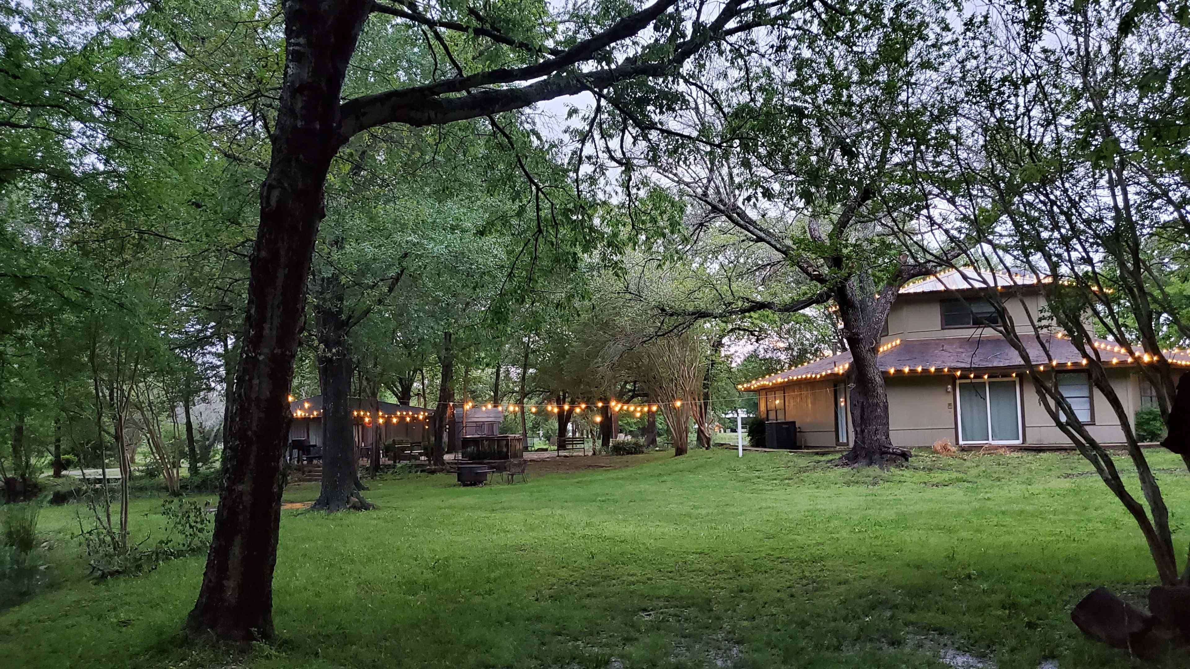 A backyard area with string lights hanging between trees beside a house, surrounded by grass and greenery.