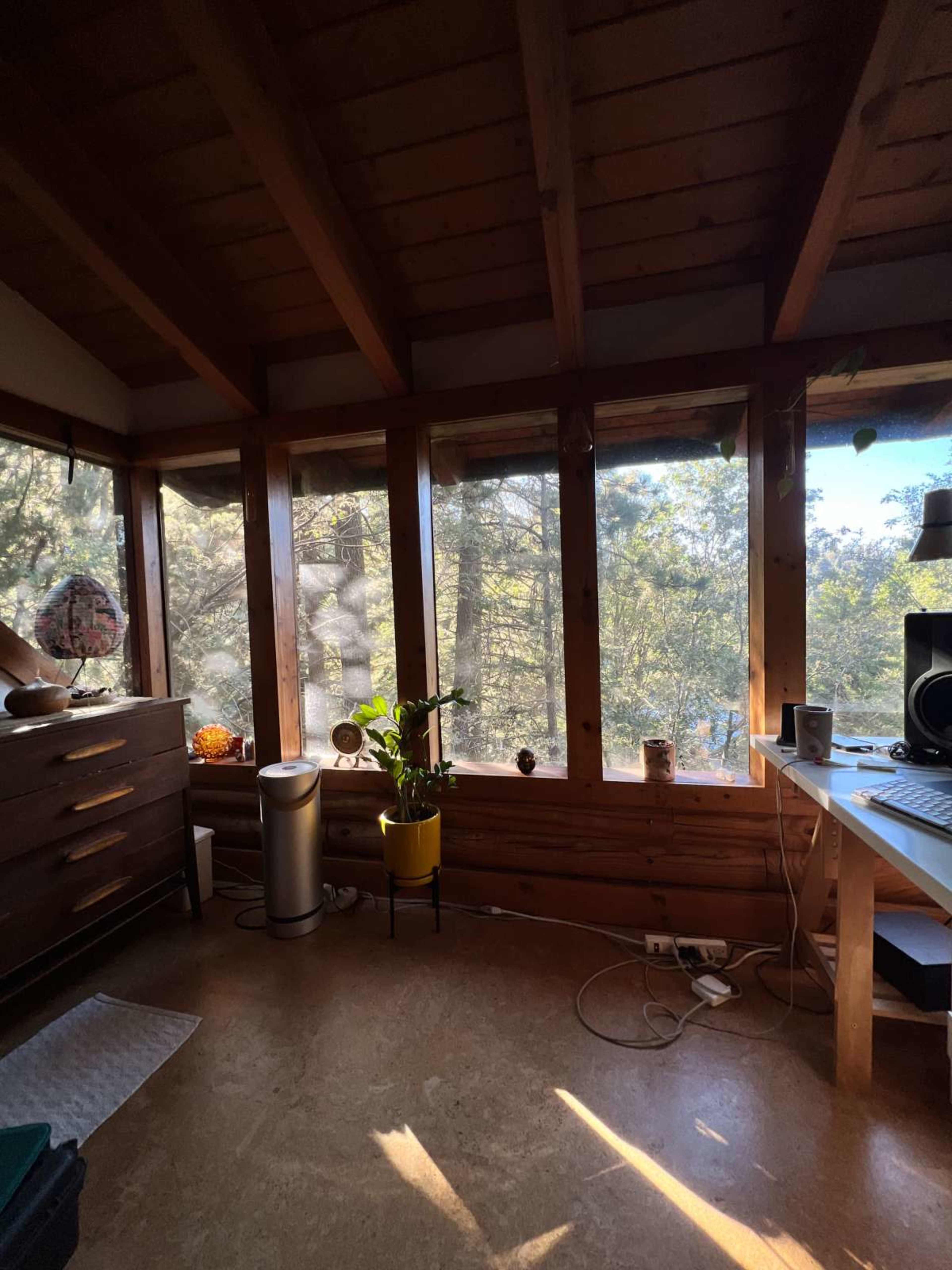 The image shows a cozy wooden room with large windows overlooking trees, featuring a desk, a dresser, a plant in a yellow pot, and some electronic equipment.