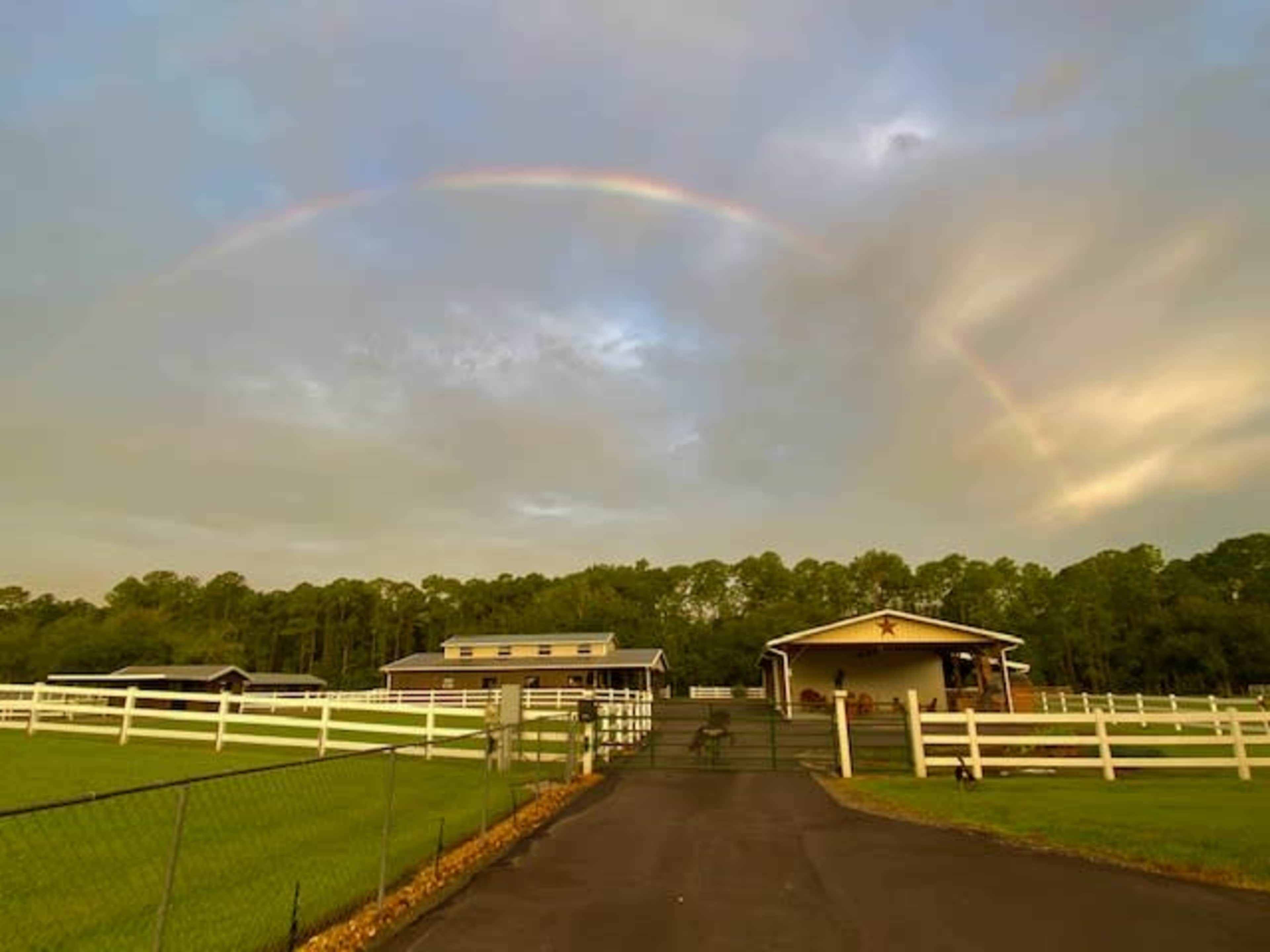 Angel's Animal Sanctuary Image in Spring Forest, New Smyrna Beach, FL
