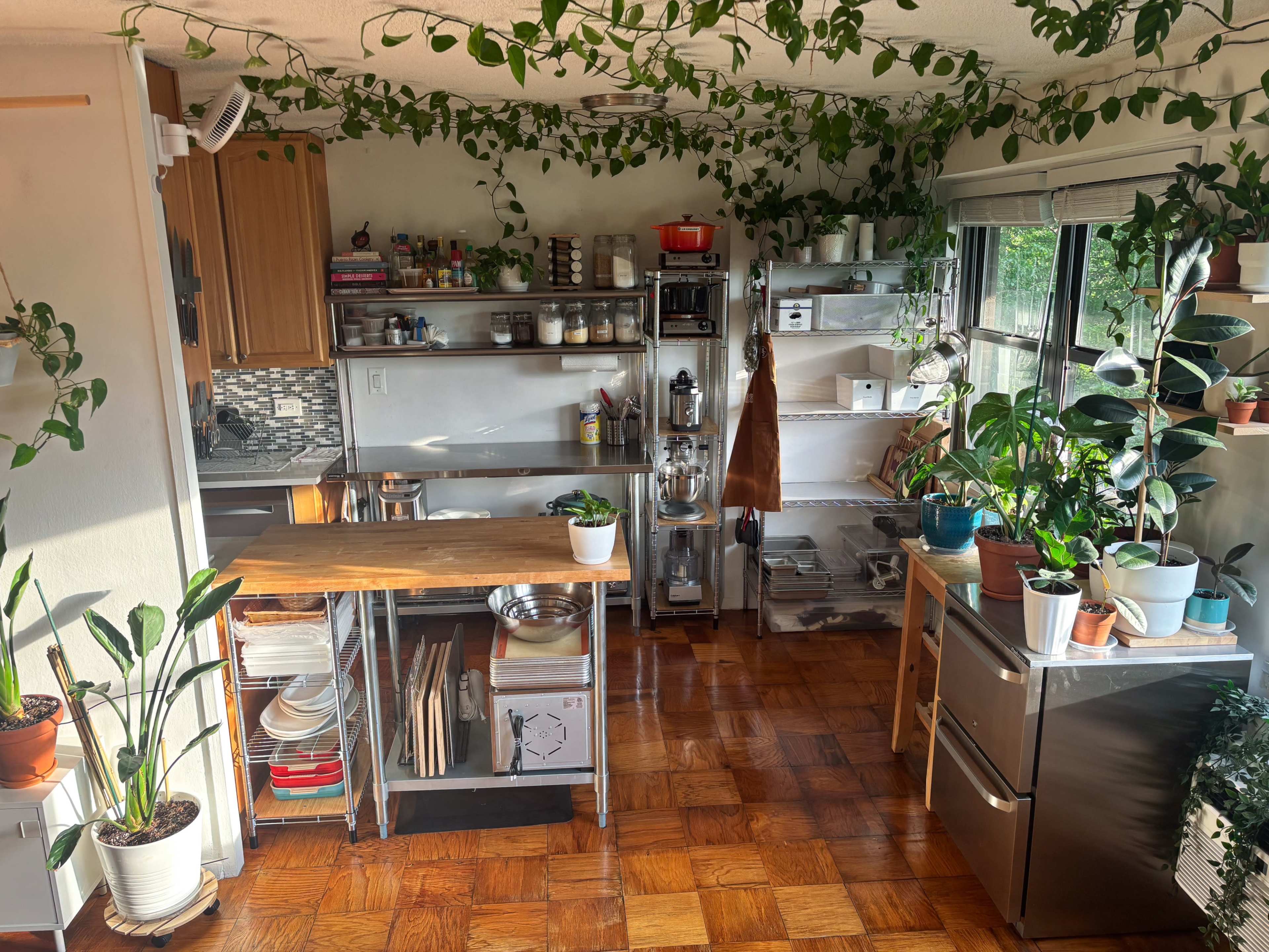 A bright kitchen features wooden shelves stocked with jars and utensils, a stainless steel countertop, and numerous plants hanging from the ceiling and placed on surfaces.