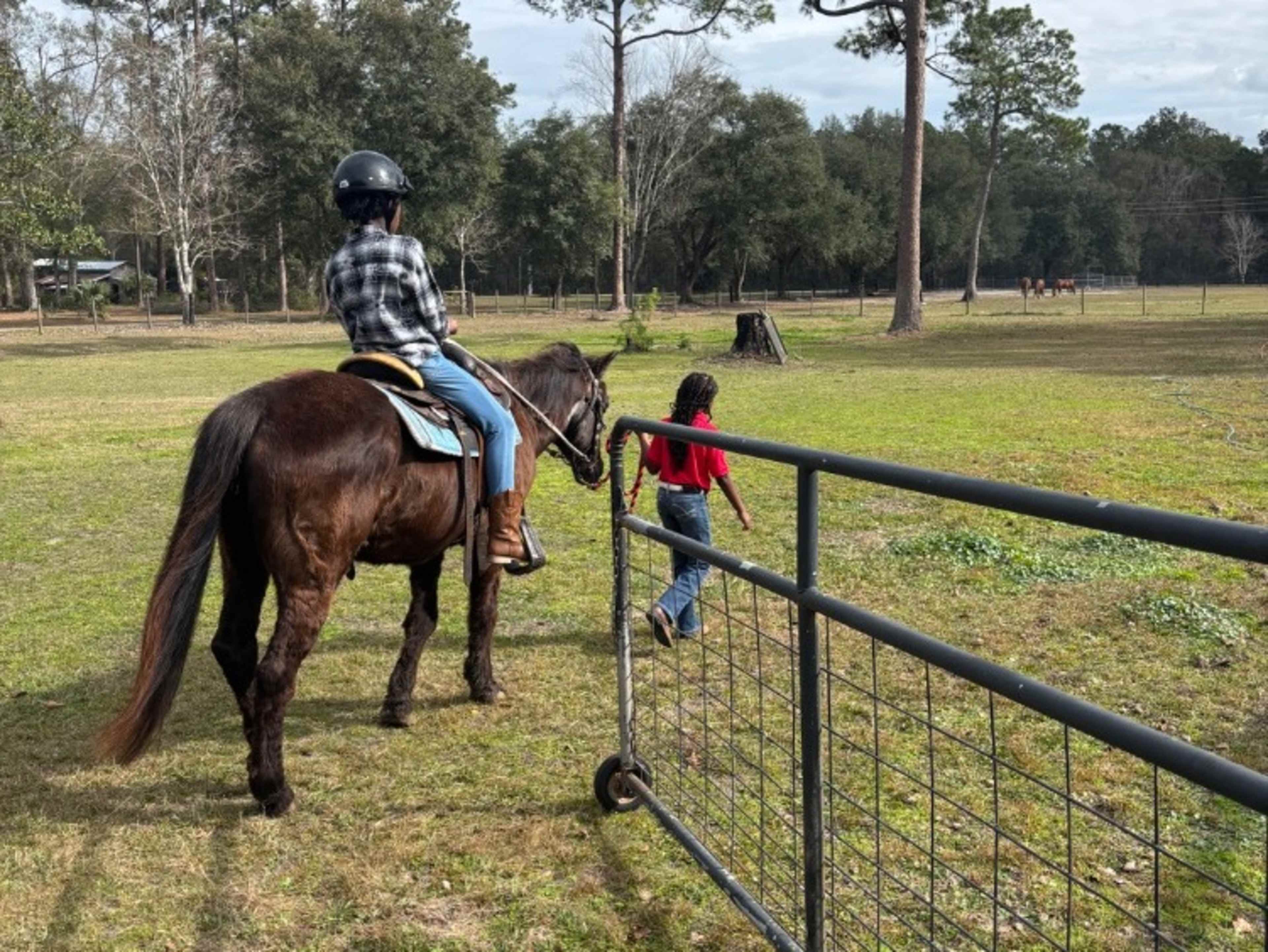 Horseback riding