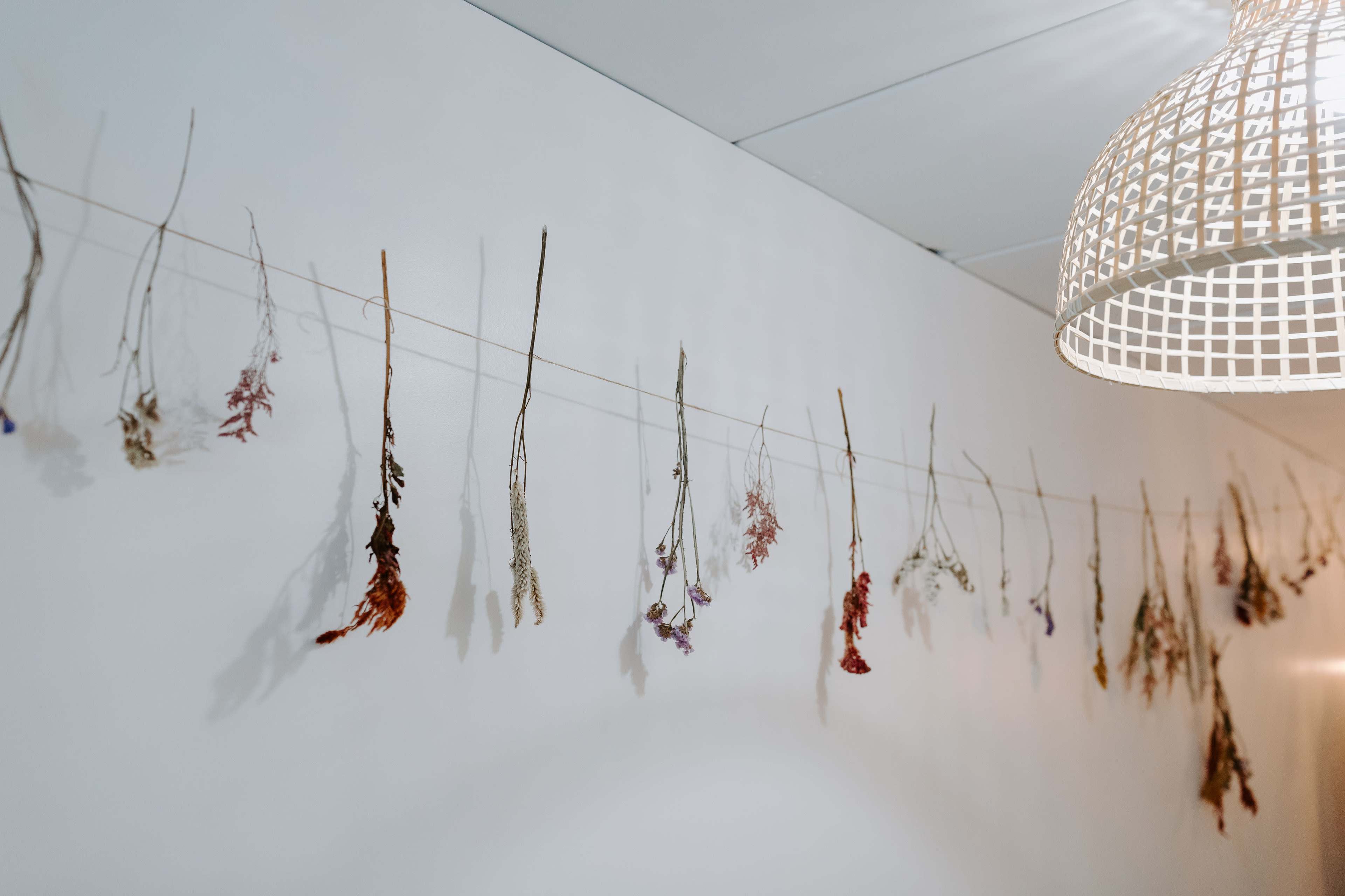 Dried flowers are hanging from a string on a white wall beneath a woven light fixture.