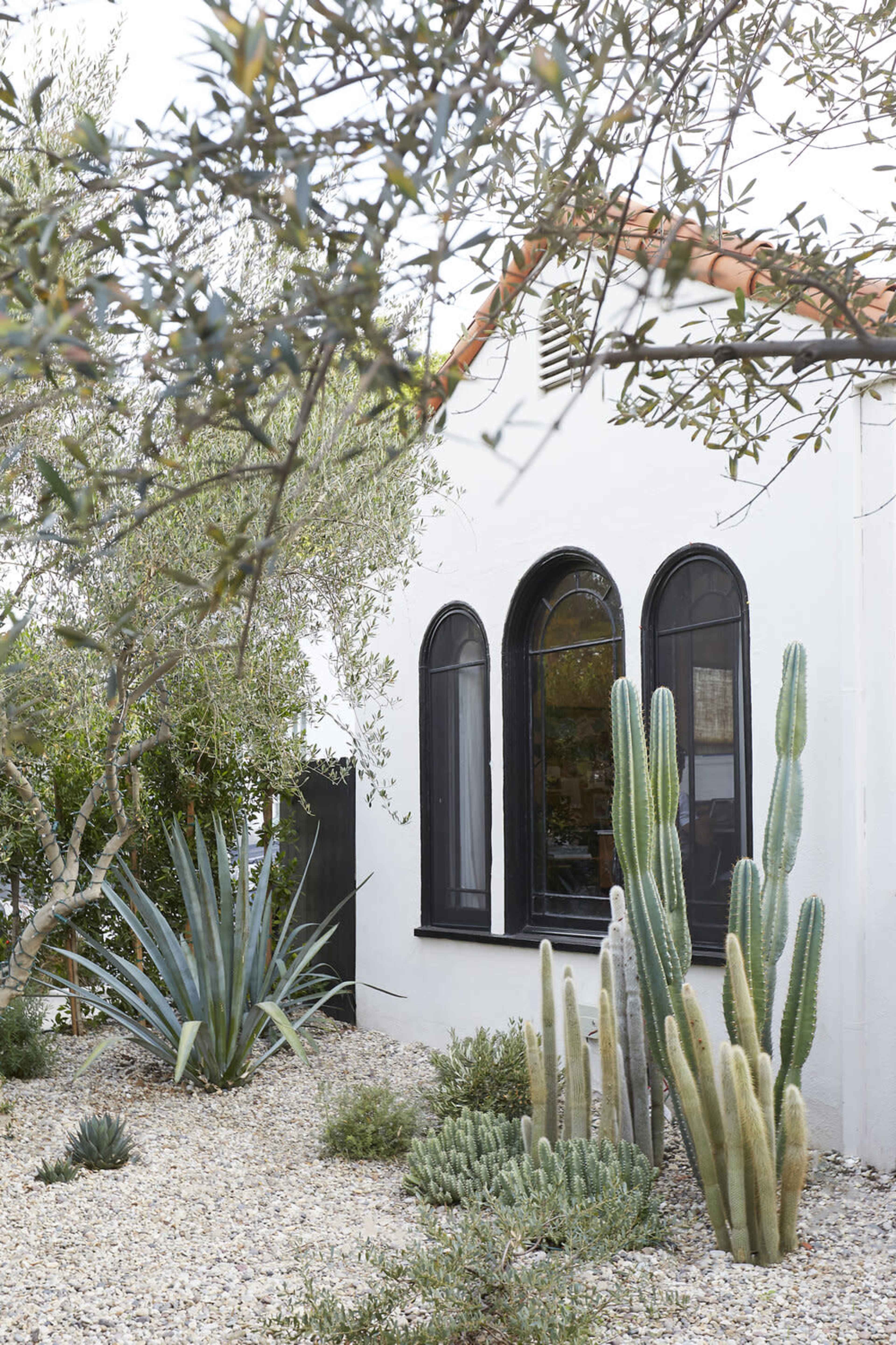 A white stucco house with arched windows surrounded by various desert plants and cacti in a pebbled garden.