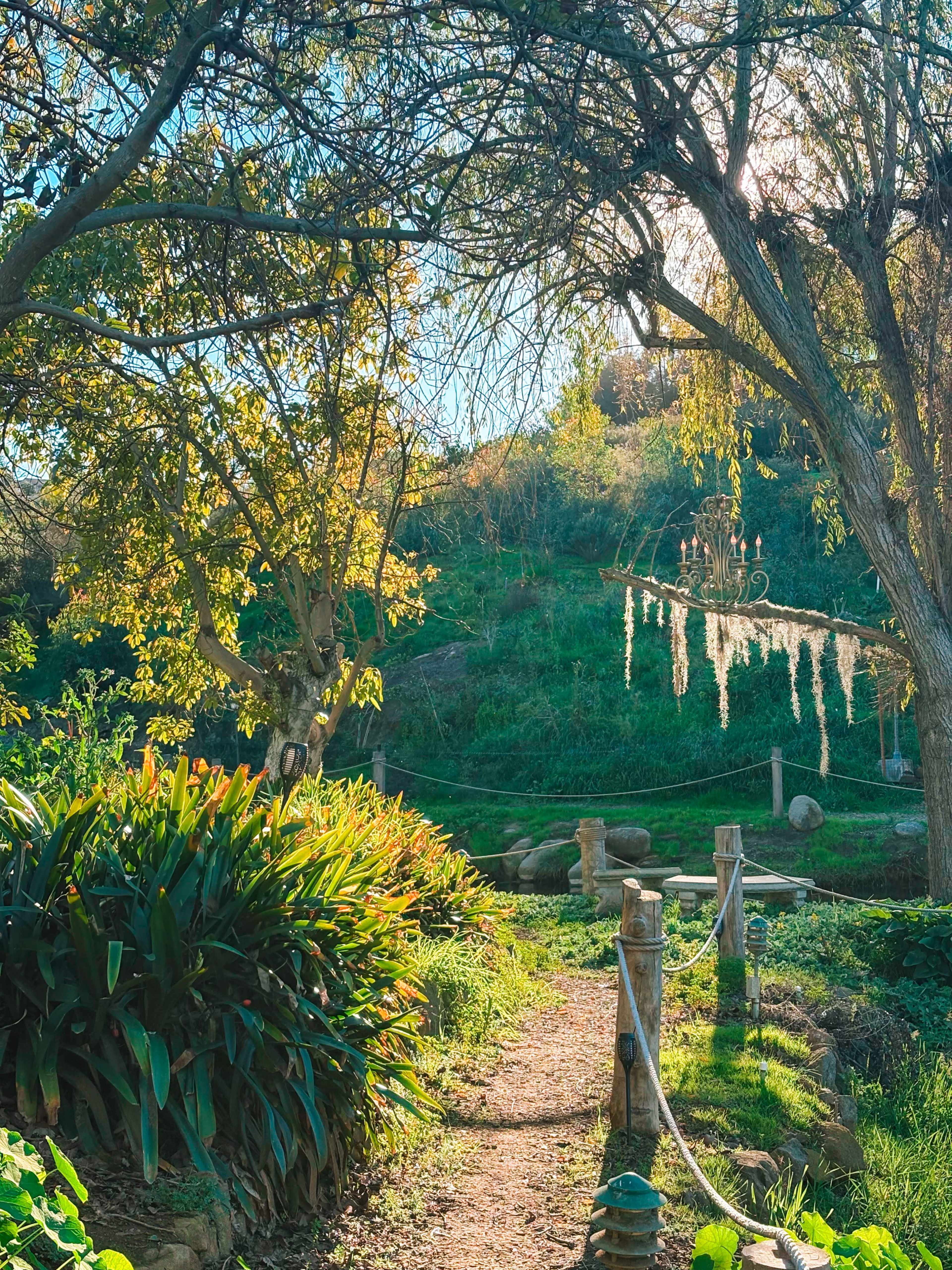 A pathway winds through a garden with lush greenery and trees, leading to a hillside adorned with hanging decorations.