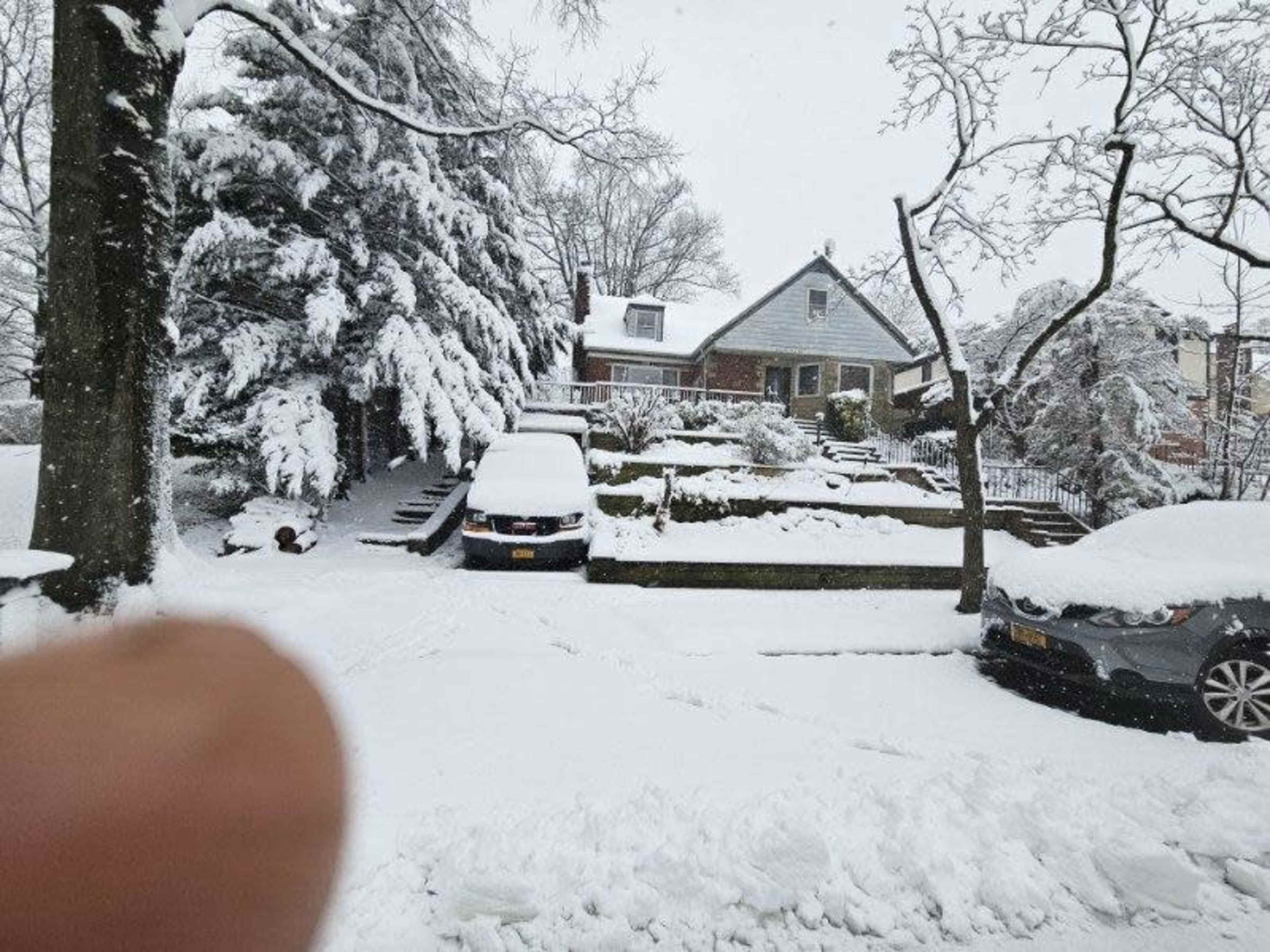 A residential street is covered in snow, with two parked cars visible in the driveway and a house surrounded by snow-laden trees in the background.