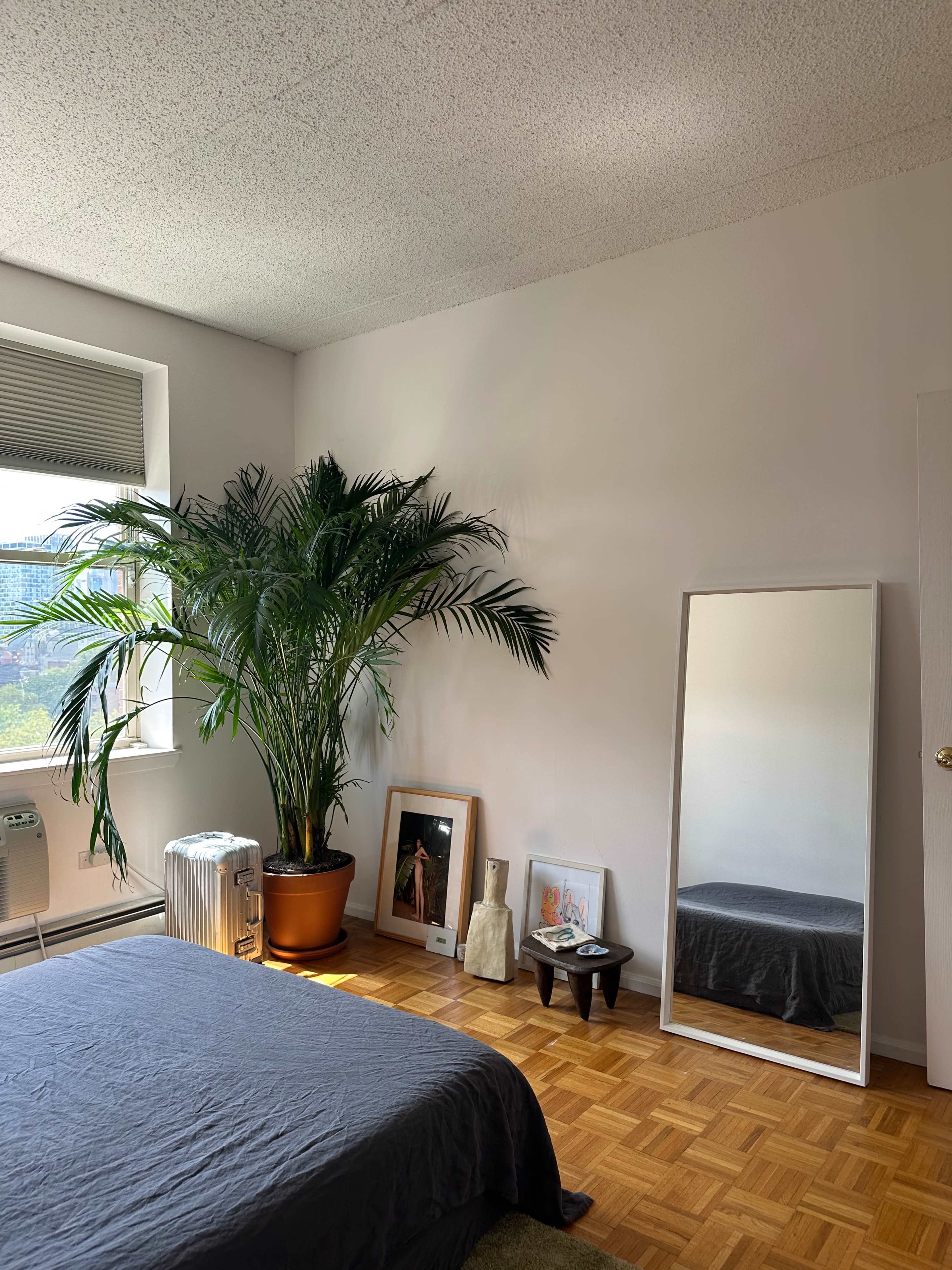 A bedroom features a large mirror, a potted plant, framed pictures on the floor, and a bed with gray bedding.