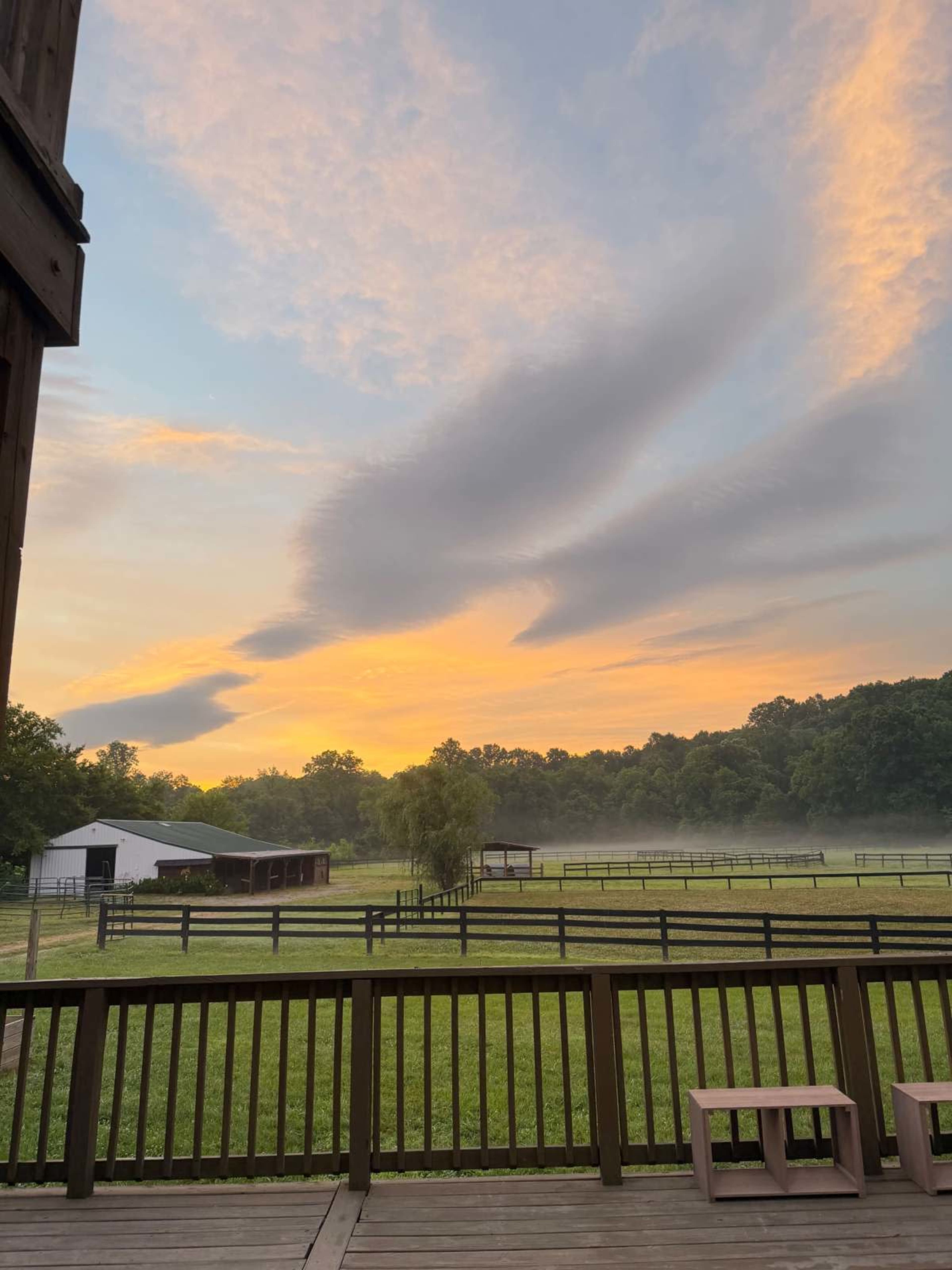 14-acre working farm in Williamson County | Golden light, open pastures, beautiful stables, animals, farmhouse aesthetic | 30 min from Nashville Image in , Franklin, TN