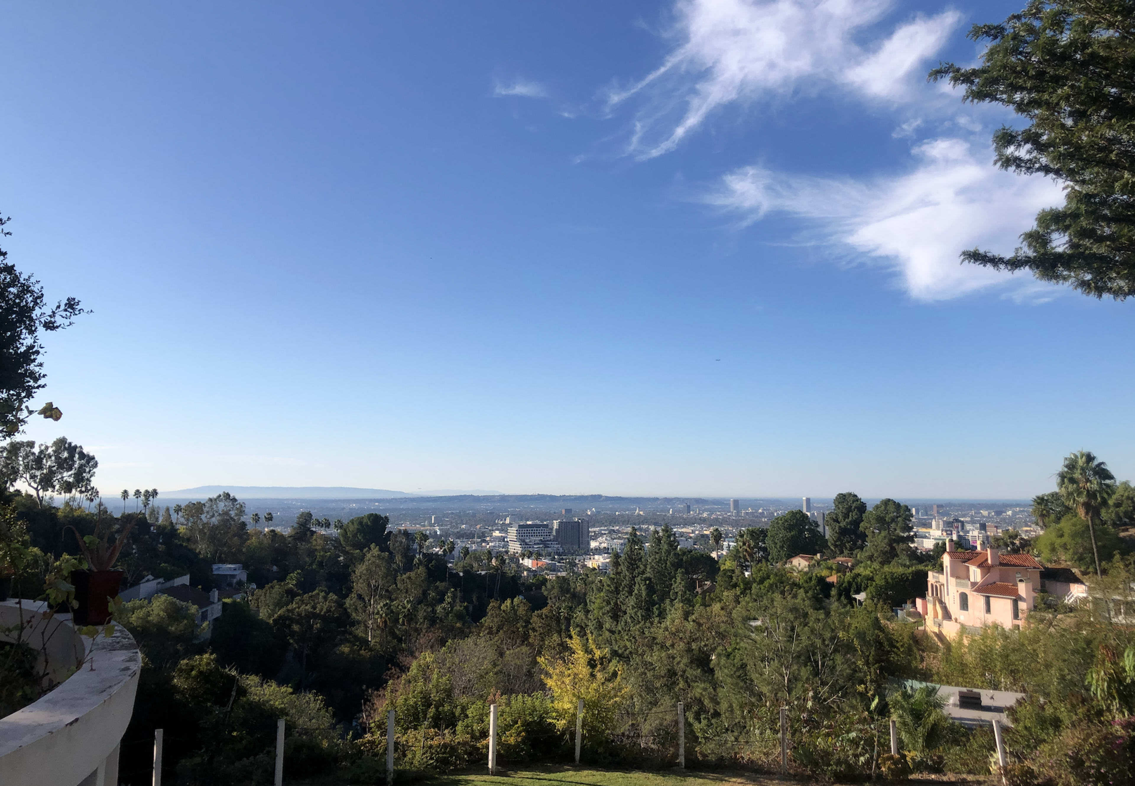 A panoramic view of a city skyline framed by greenery under a clear blue sky.
