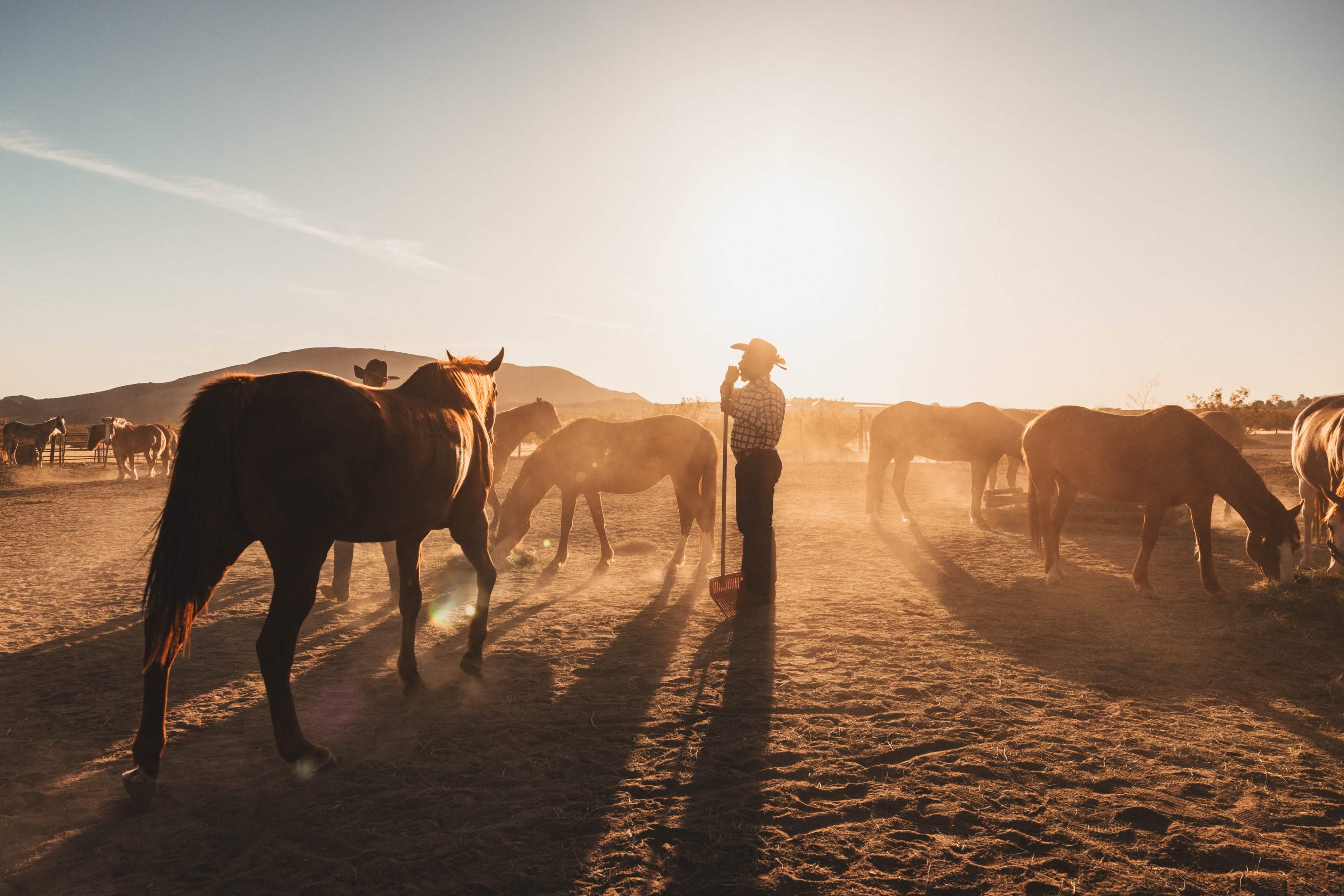 Rustic Ranch with Panoramic Views. Image in , Joshua Tree, CA