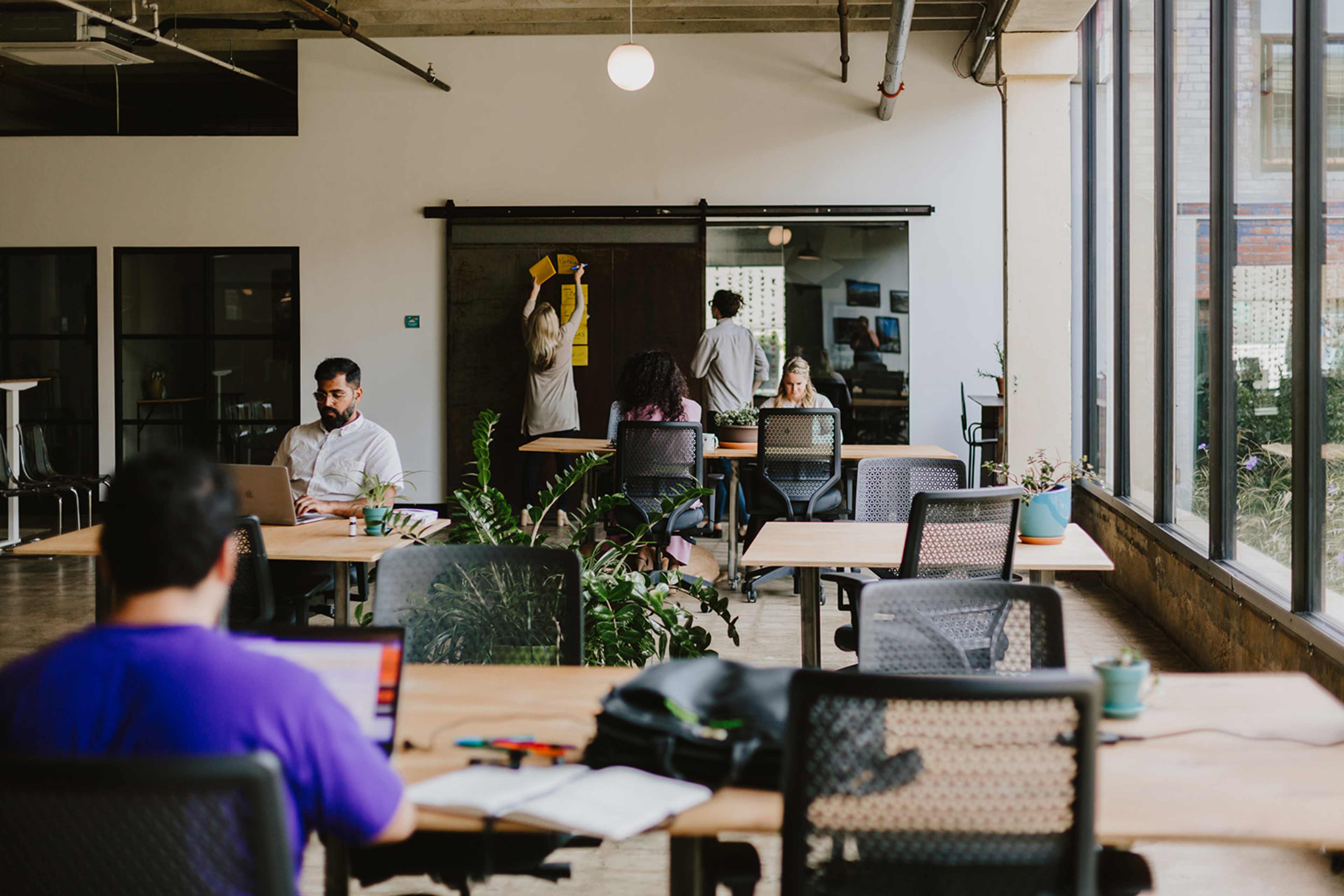 A spacious co-working space features people engaged in work, with large windows allowing natural light to enter and plants adding greenery to the environment.